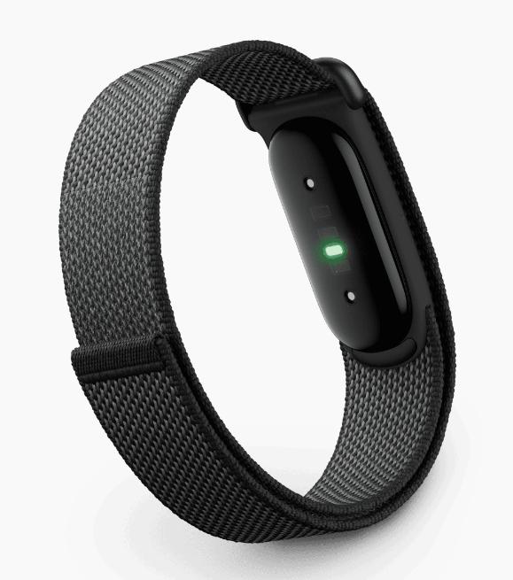 Fitbit Para llevar Google Air No Wristband / GA09509-EU Negro