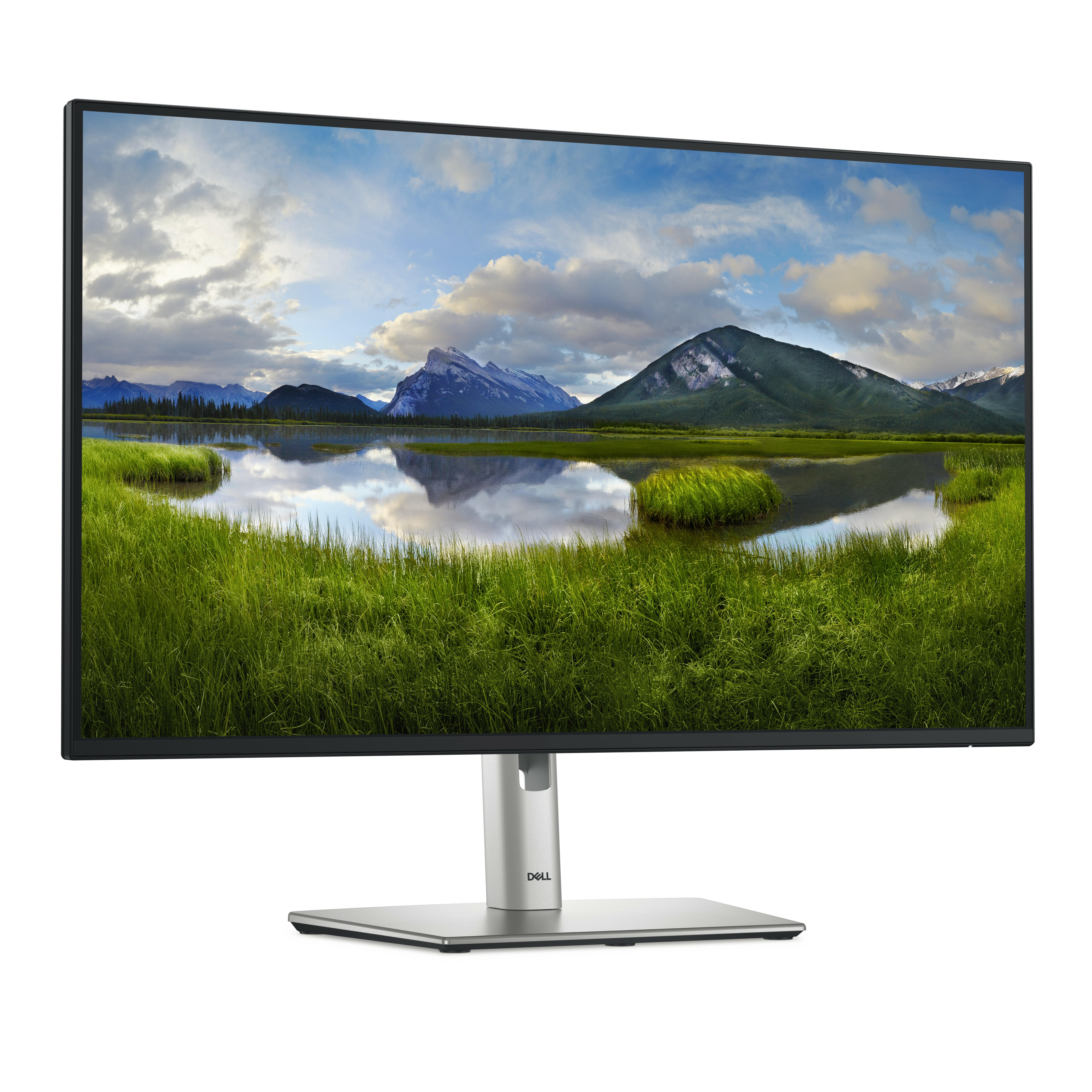 DELL Monitor P2725HHF / P2725HHF Negro Standard 68,6 cm (27")