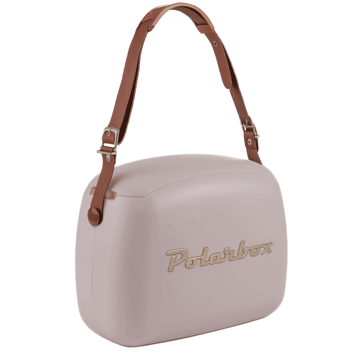 Polarbox Glacière Pearl-Gold 6L / AXROACTION3 Beige Polarbox Glacière Pearl-Gold 6L / AXROACTION3 Beige