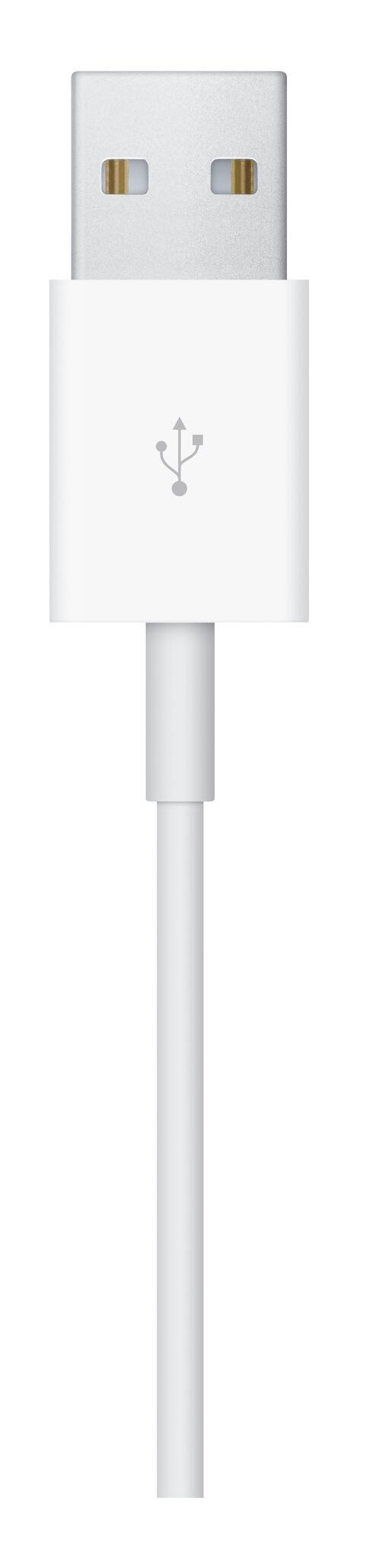 Apple Charging station Charger Smartwatch - USB / MW6A3ZM/A White