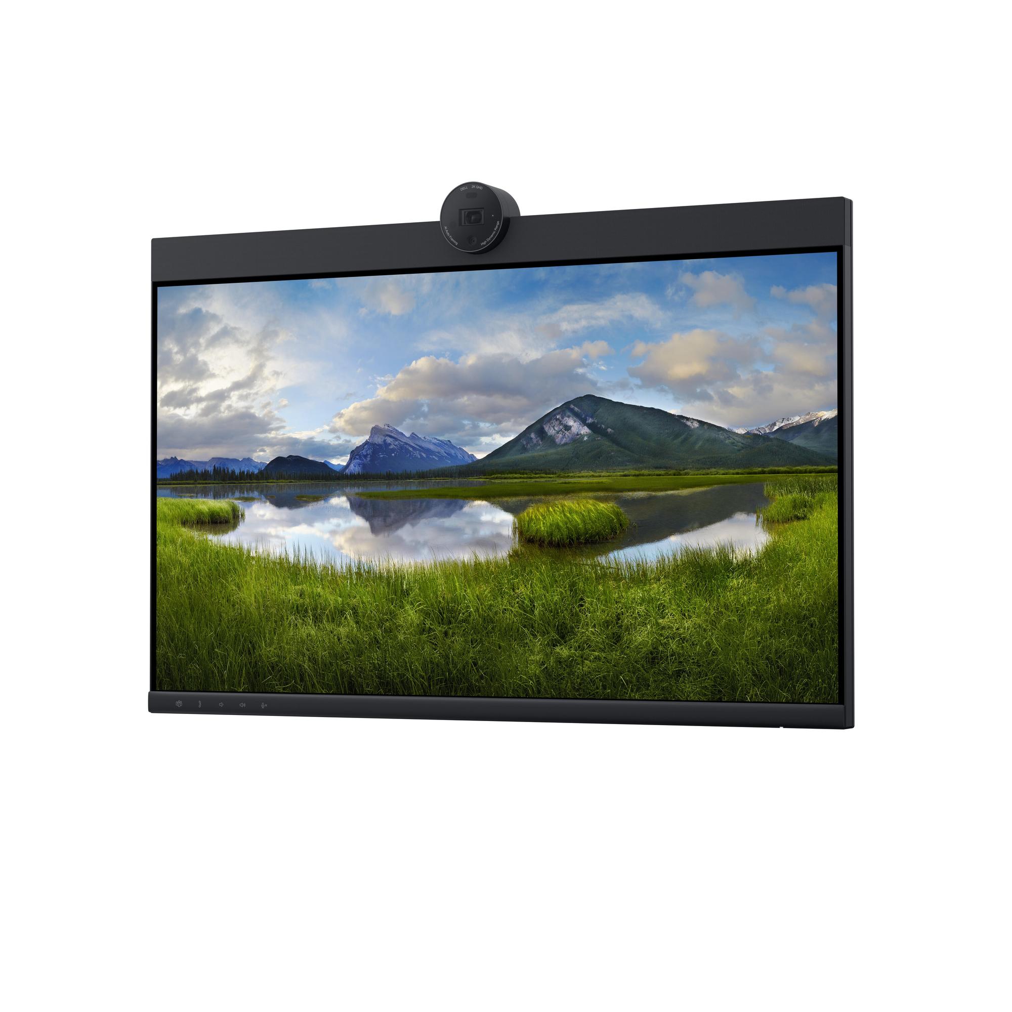 DELL Monitor P2424HEB / 210-BKVC Negro 60,5 cm (23,8")