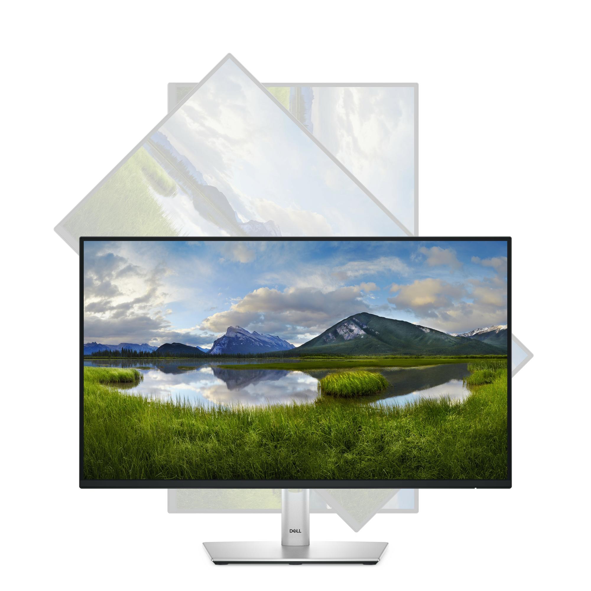 DELL Monitor P2425HE / 210-BMJB Negro 60,5 cm (23,8")