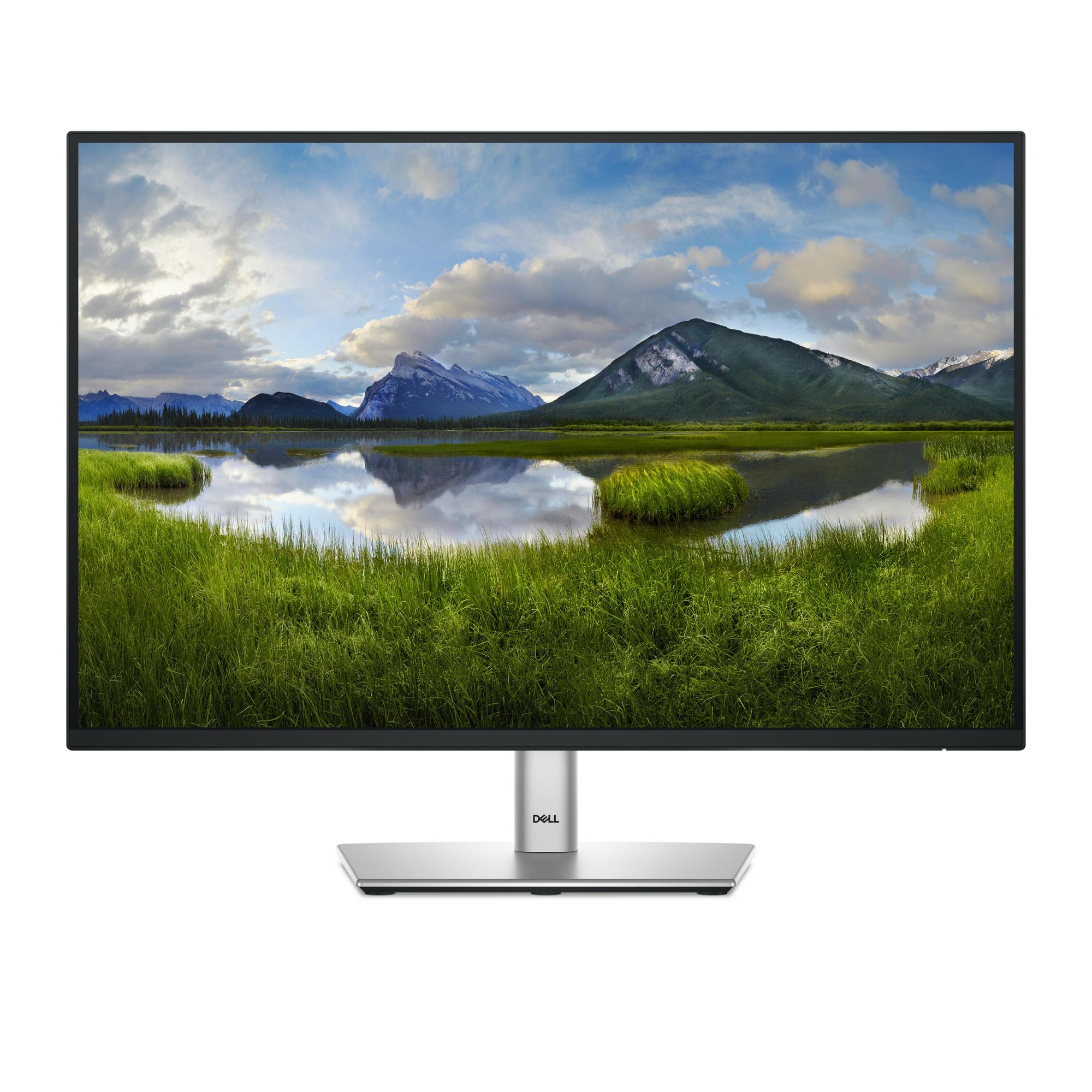 DELL Monitor P2425 / 210-BMJD Negro 61,1 cm (24,1")