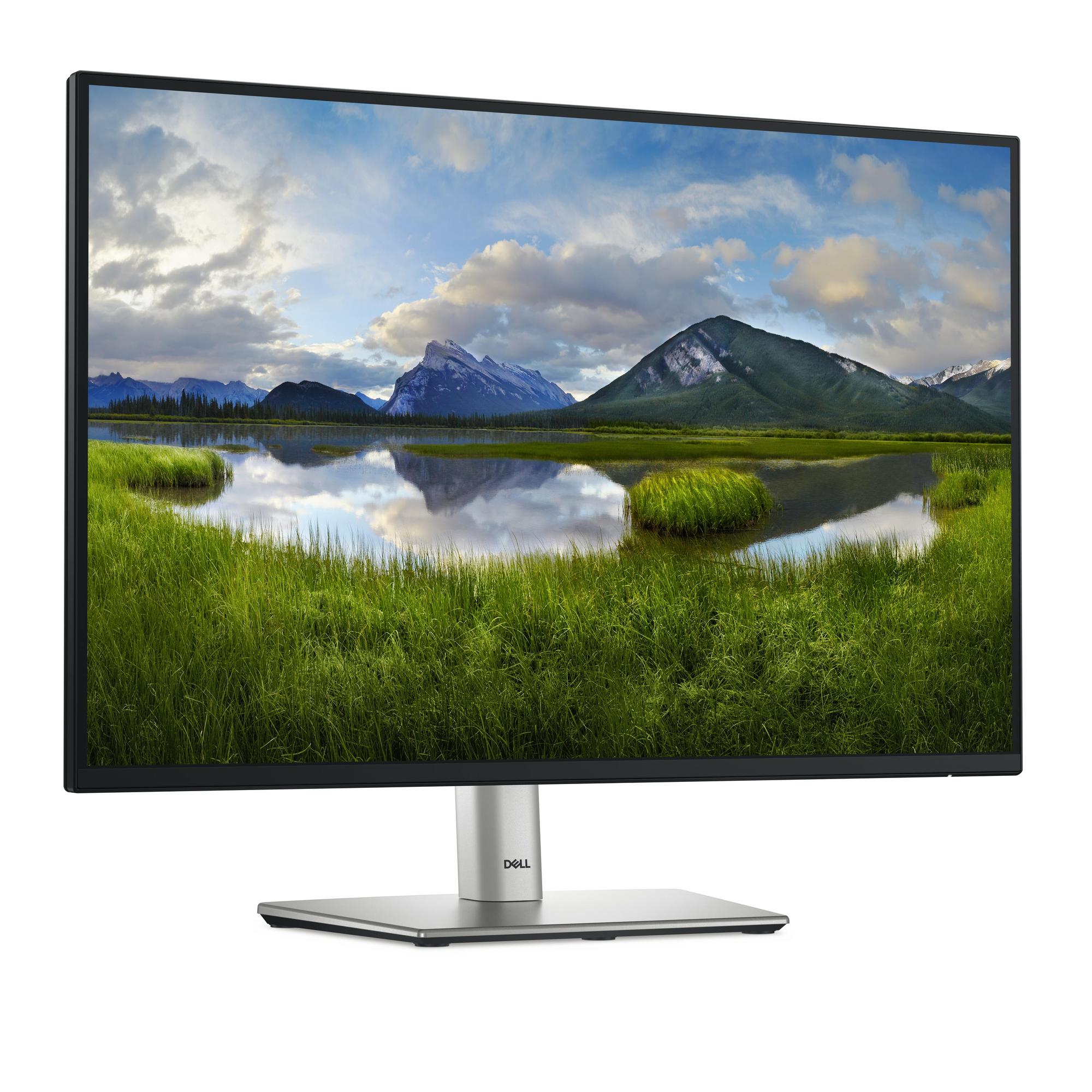 DELL Monitor P2425 / 210-BMJD Schwarz 61,1 cm (24.1")