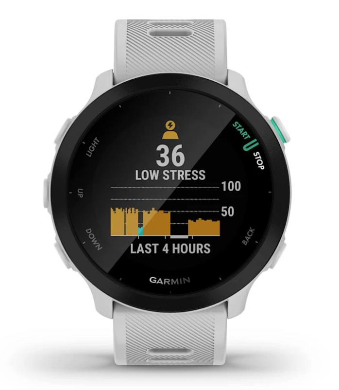 Garmin Wearable Forerunner 55 / 010-02562-15