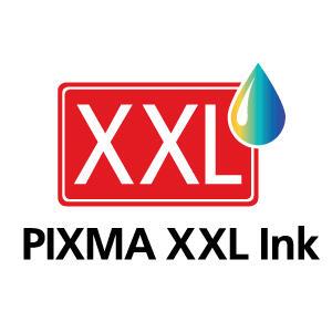 Canon Tinta PGI-580PGBKXXL / 1970C001 Foto Negro XXL