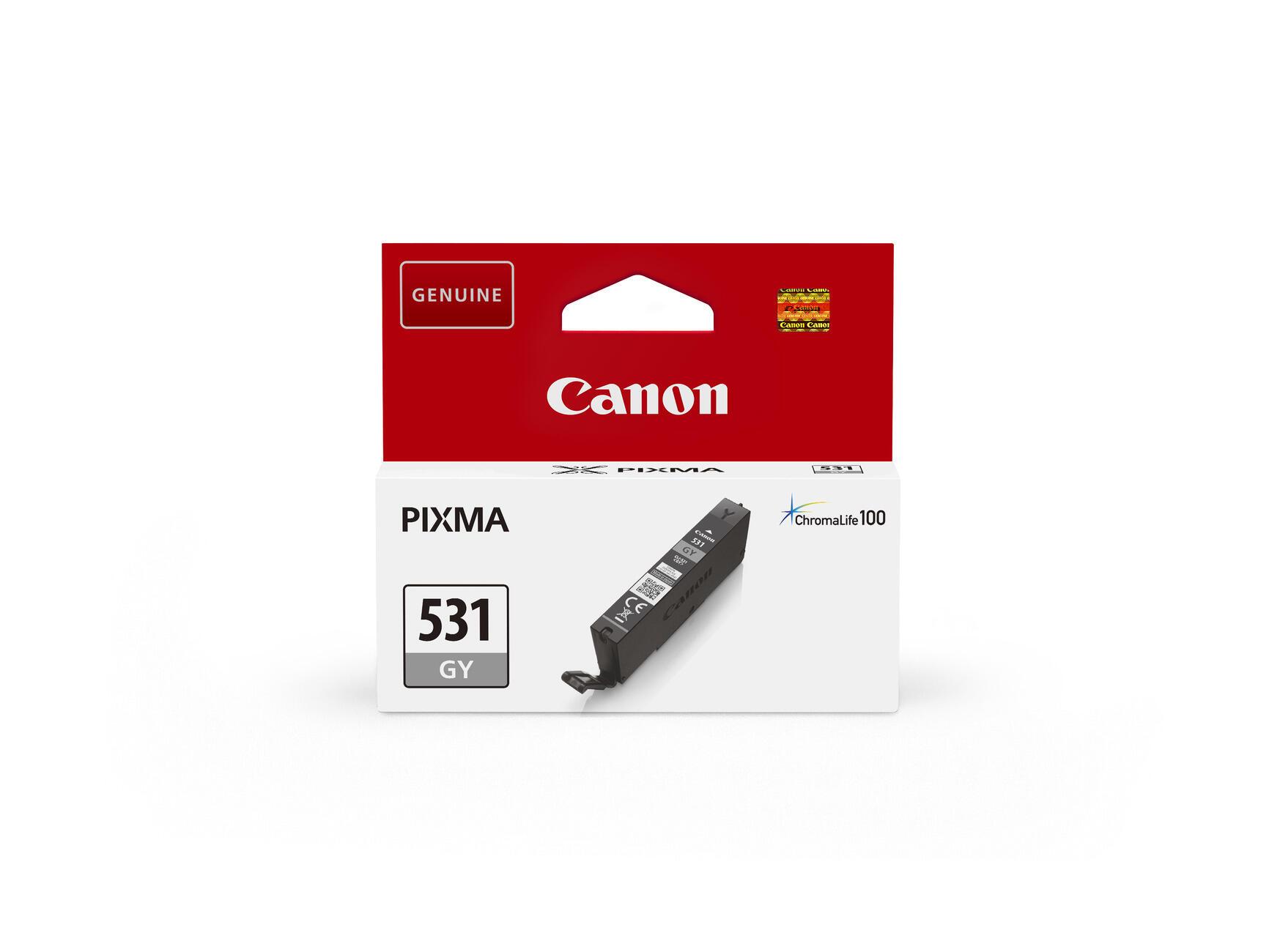 Canon Ink CLI-531 / 6122C001 Grey Standard