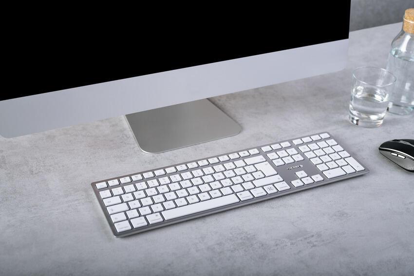 CHERRY Teclado JK9110S / JK-9110DE-1 Plata