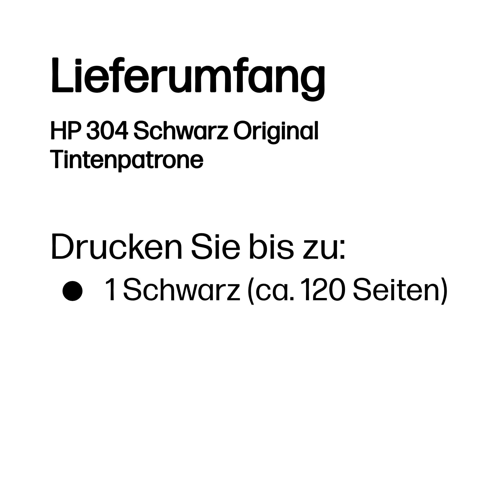 HP Inchiostro 304 / N9K06AE Nero Standard