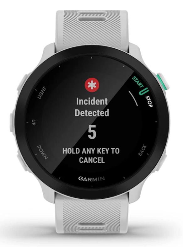 Garmin Wearable Forerunner 55 / 010-02562-15