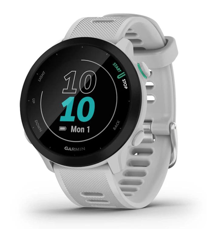 Garmin Wearable Forerunner 55 / 010-02562-15