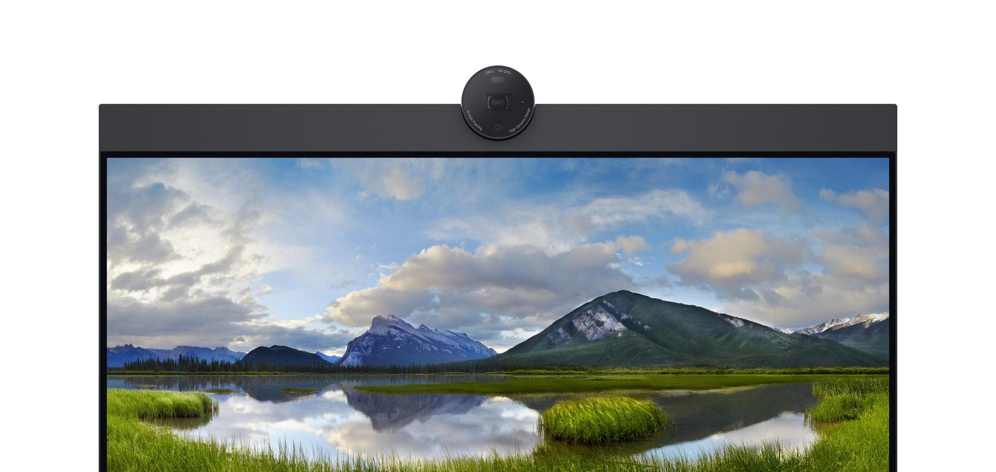 DELL Monitor P2424HEB / 210-BKVC Negro 60,5 cm (23,8")