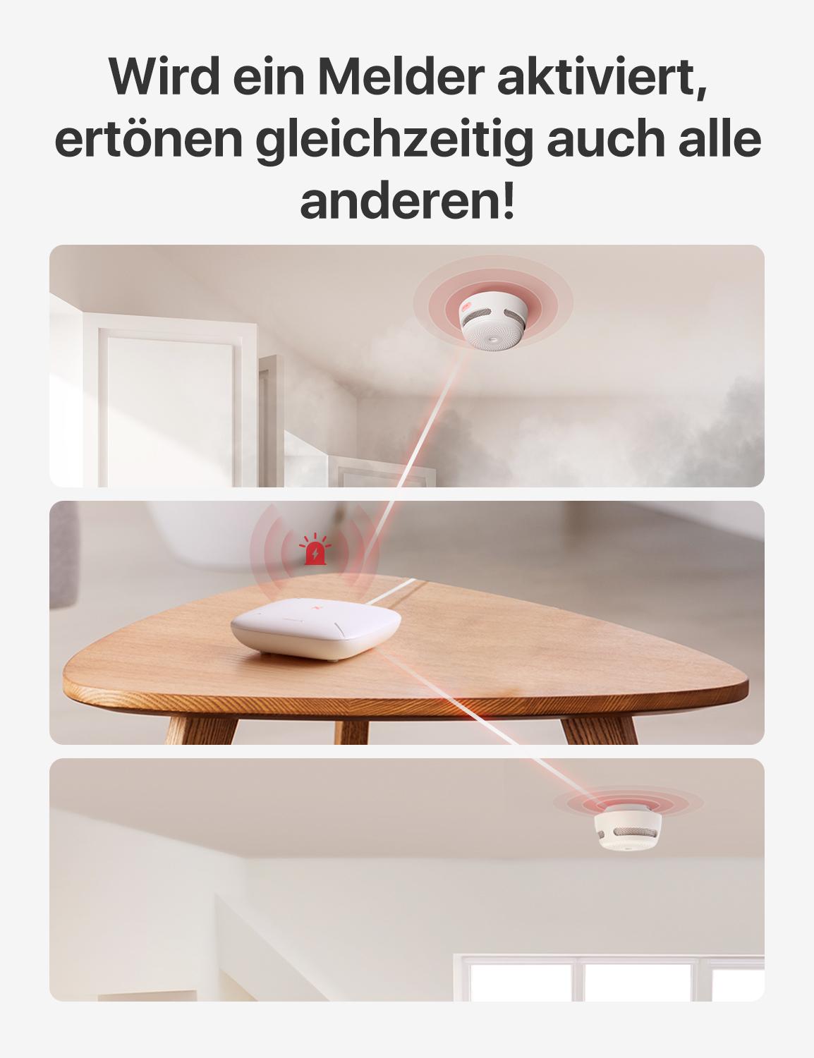 X-Sense Smart-Home-Steuerung SBS50 / ZASXS00104WEU Weiß