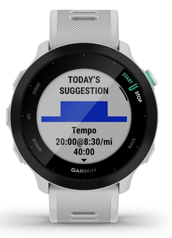Garmin Wearable Forerunner 55 / 010-02562-15