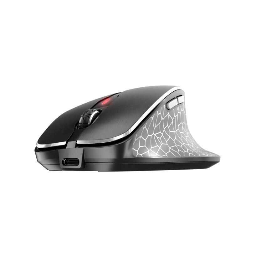 CHERRY Mouse JW8600B / JW-8600 Nero, grigio