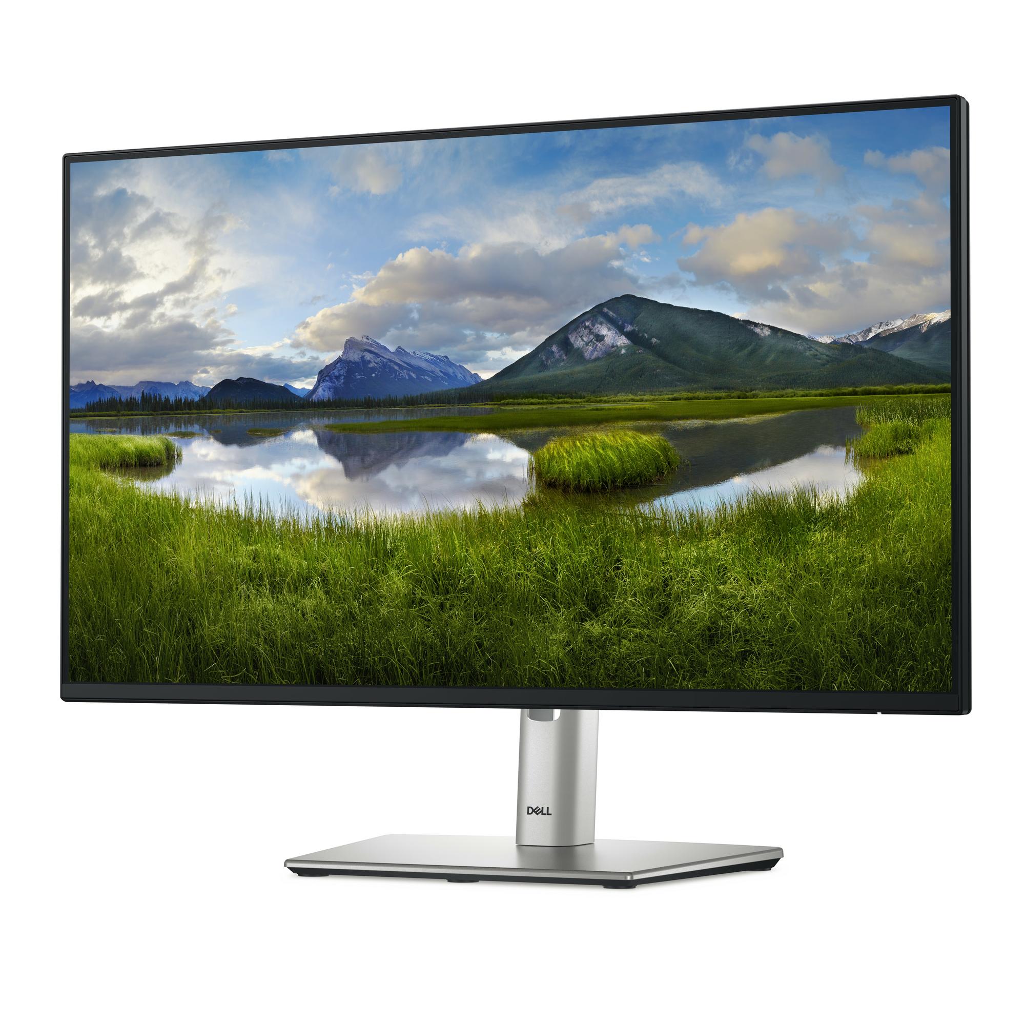 DELL Monitor P2425HE / 210-BMJB Negro 60,5 cm (23,8")
