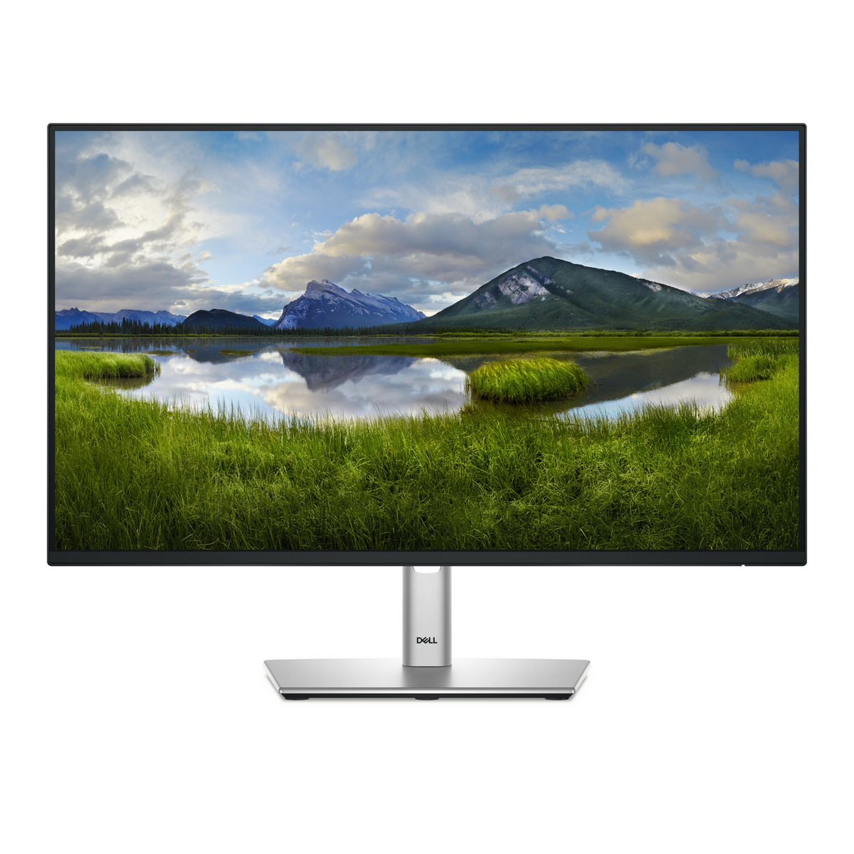 Dell Monitor P2425HE / 210-BMJB Schwarz