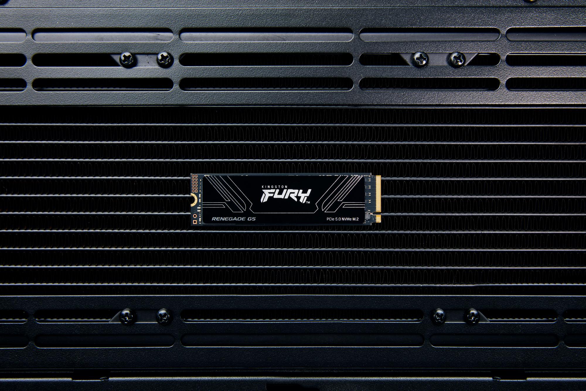 Kingston Fury Renegade 5.0 8192GB / SFYR2D/8T1