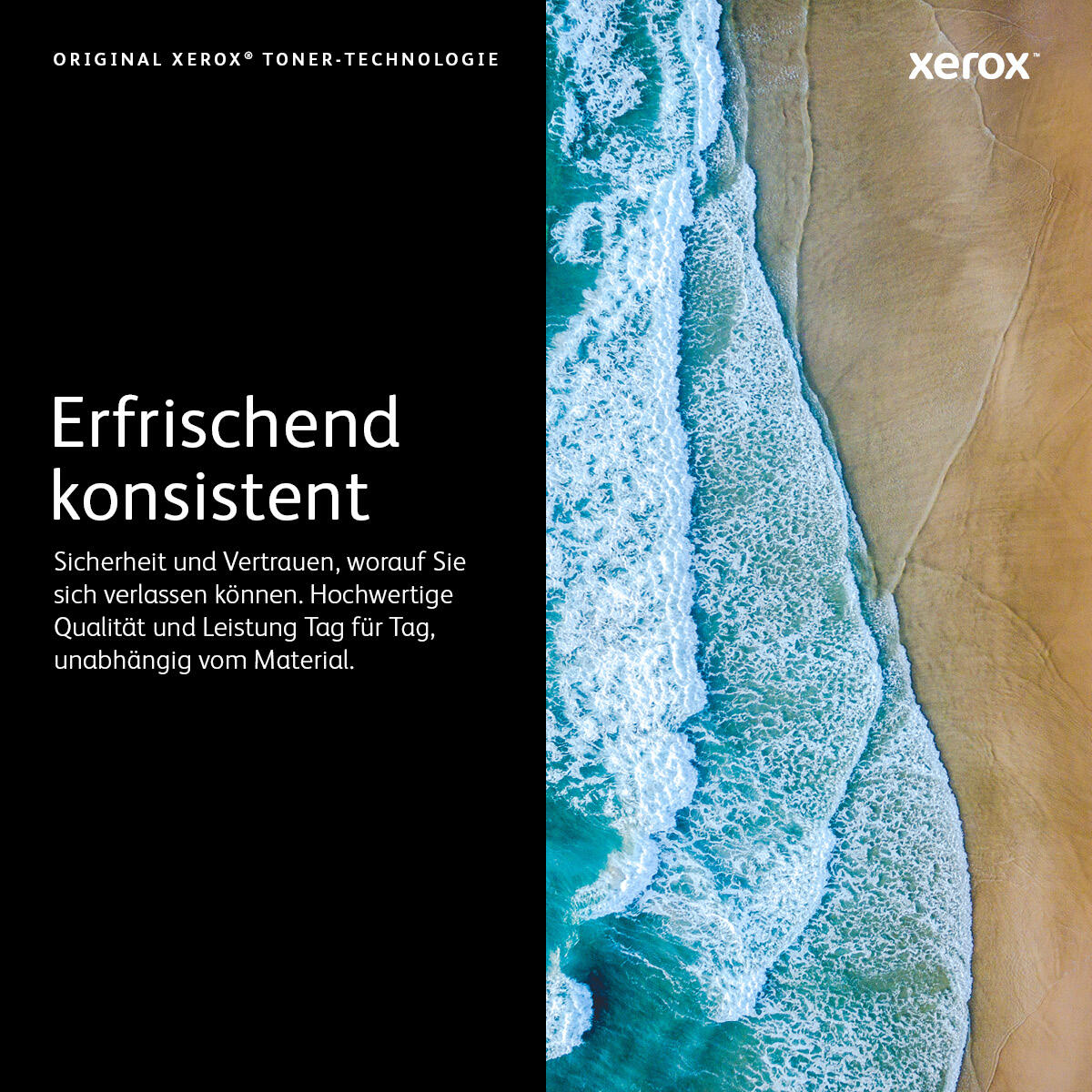 Xerox Tóner 106R02759 Negro Standard