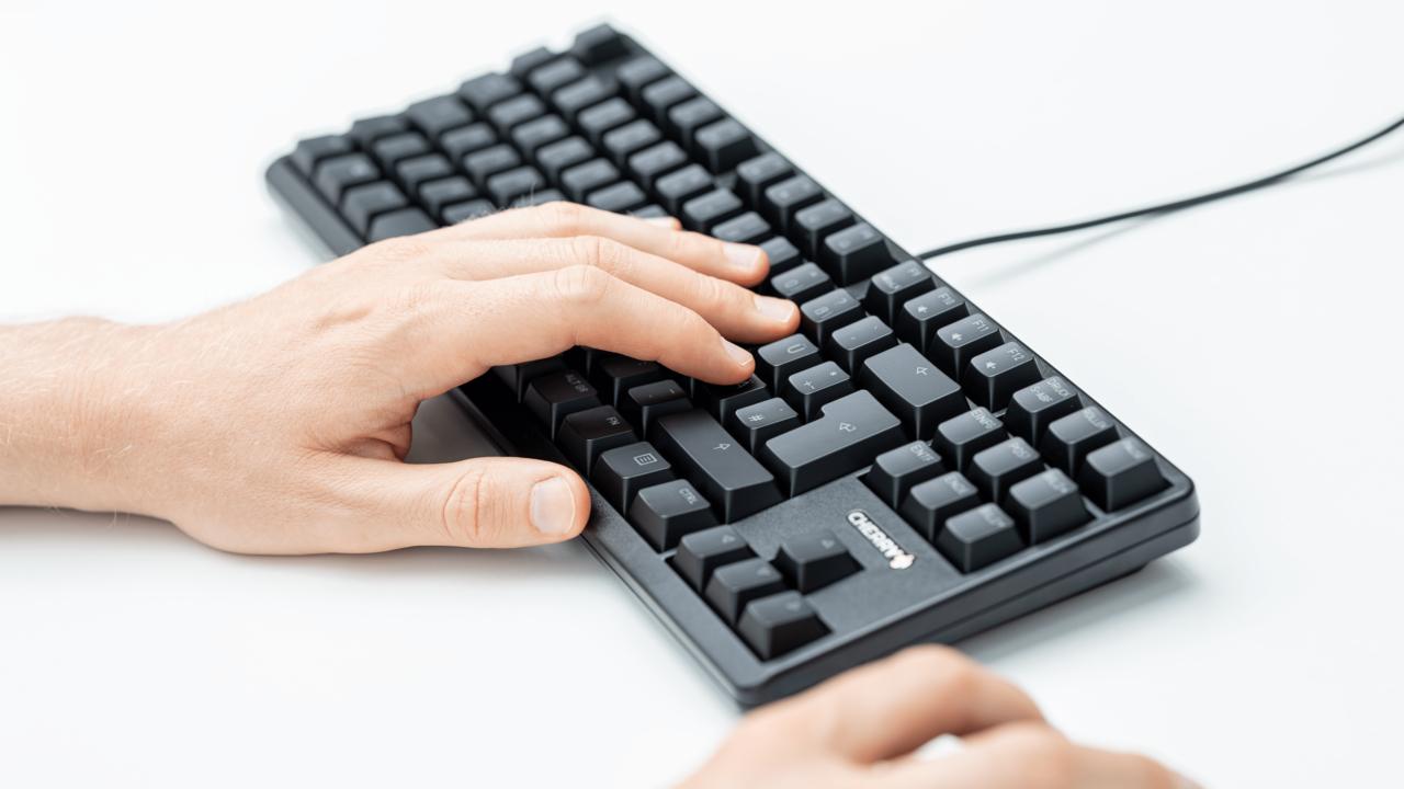 CHERRY Tastatur G3833B / G80-3833LWBDE-2 Schwarz