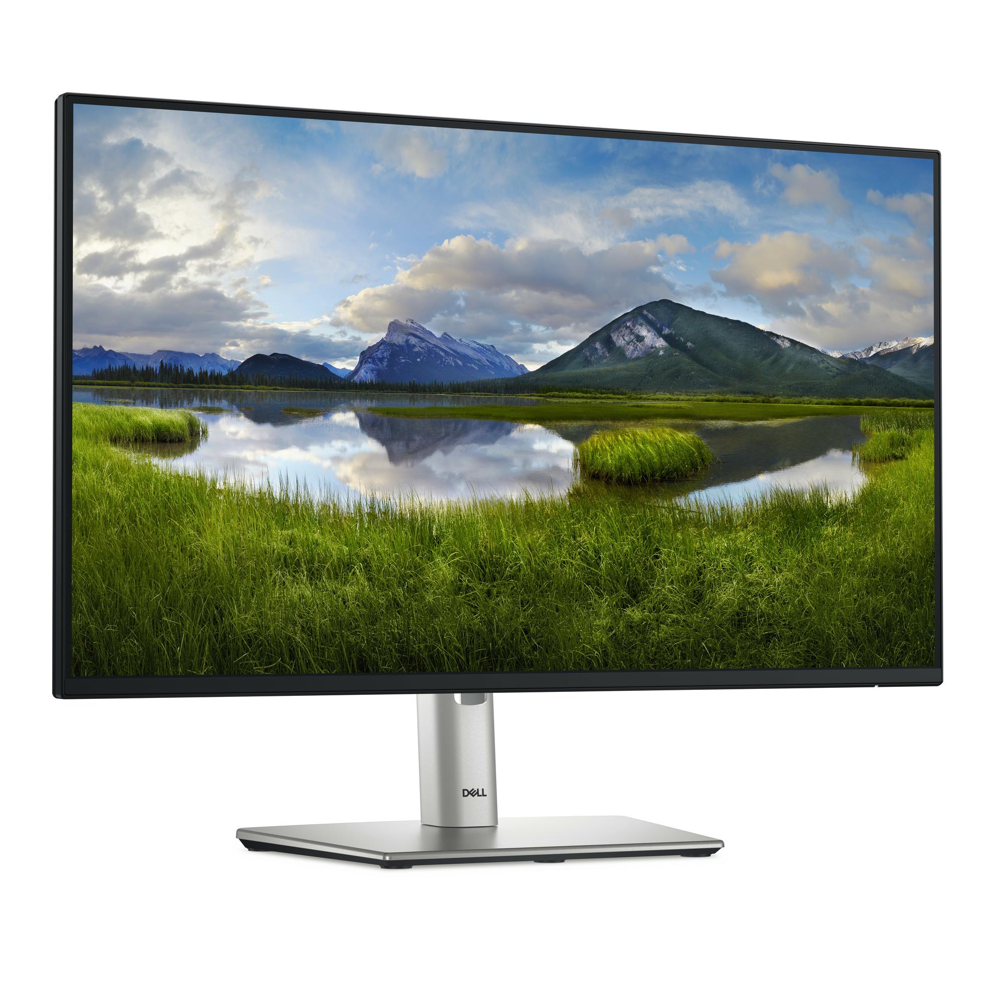 DELL Monitor P2425HE / 210-BMJB Negro 60,5 cm (23,8")