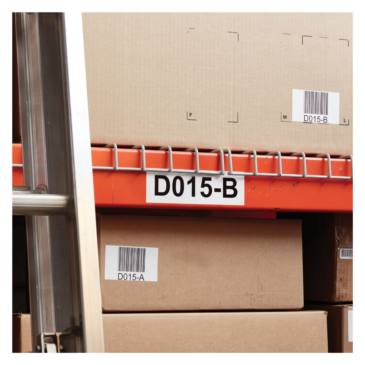 Dymo Étiquette 2112290 Blanc