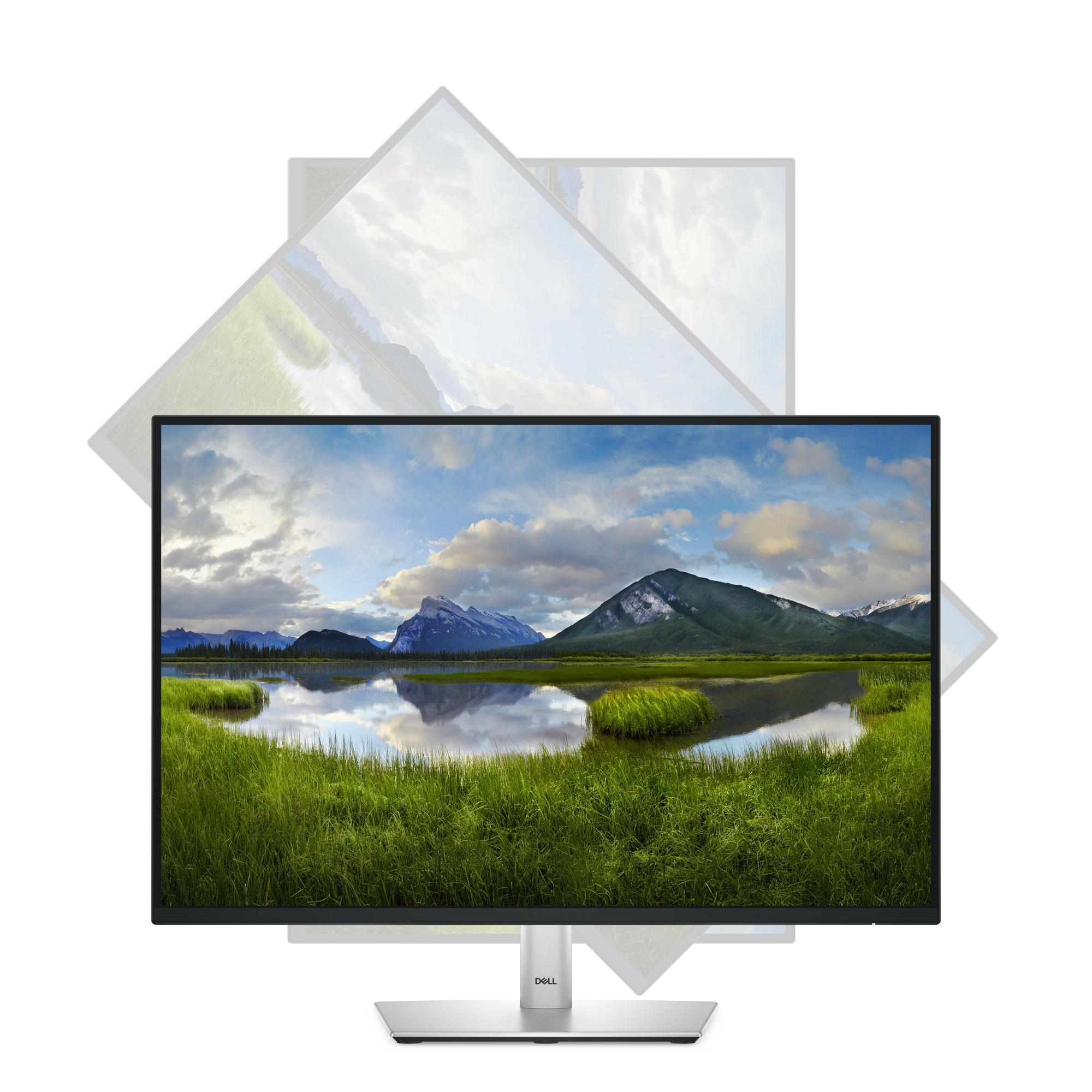 DELL Monitor P2425 / 210-BMJD Schwarz 61,1 cm (24.1")