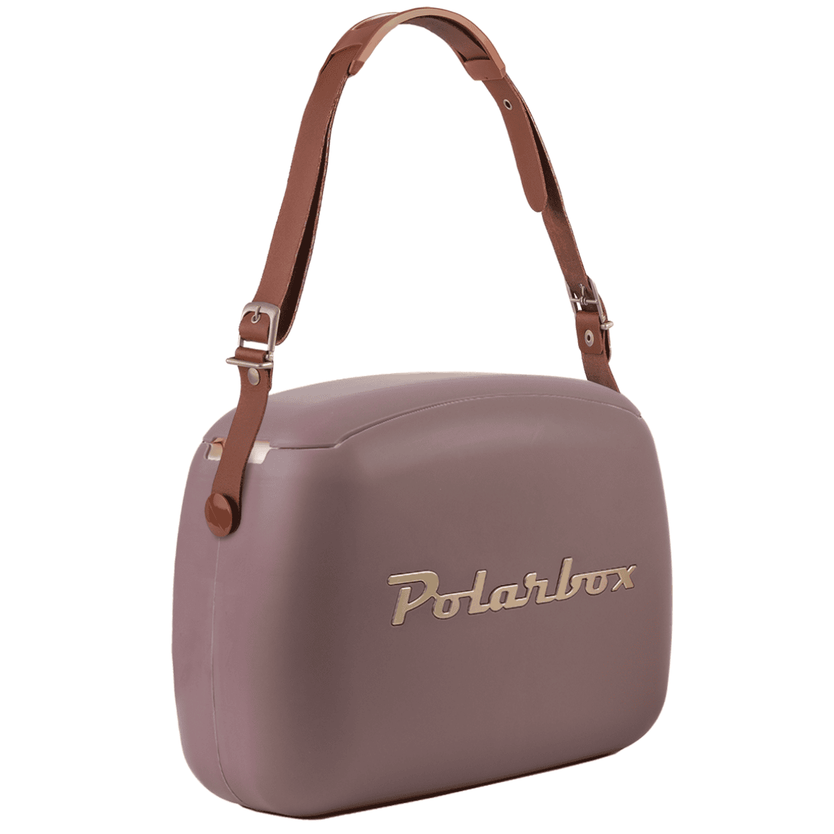 Polarbox Nevera portátil Mauve-Gold 6L / AXROACTION4 Marrón Polarbox Nevera portátil Mauve-Gold 6L / AXROACTION4 Marrón