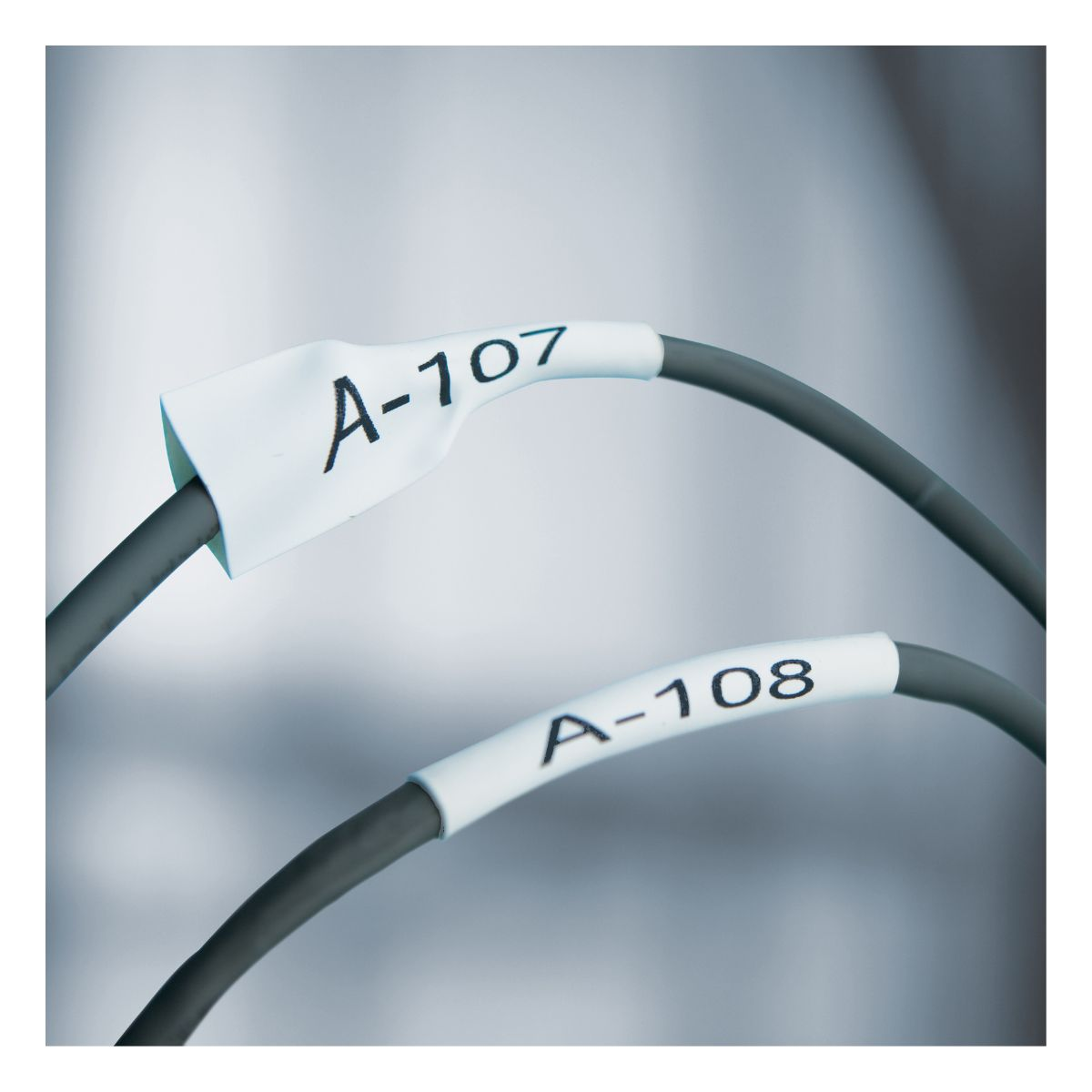 Dymo Gaine thermorétractable 18055 Noir sur Blanc