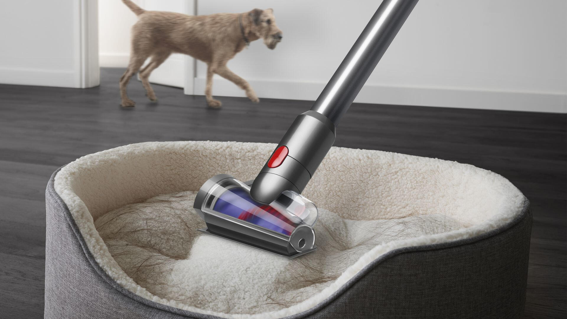 Dyson Aspirateur à main V12 Detect Slim Absolute / 448884-01 Nickel, jaune