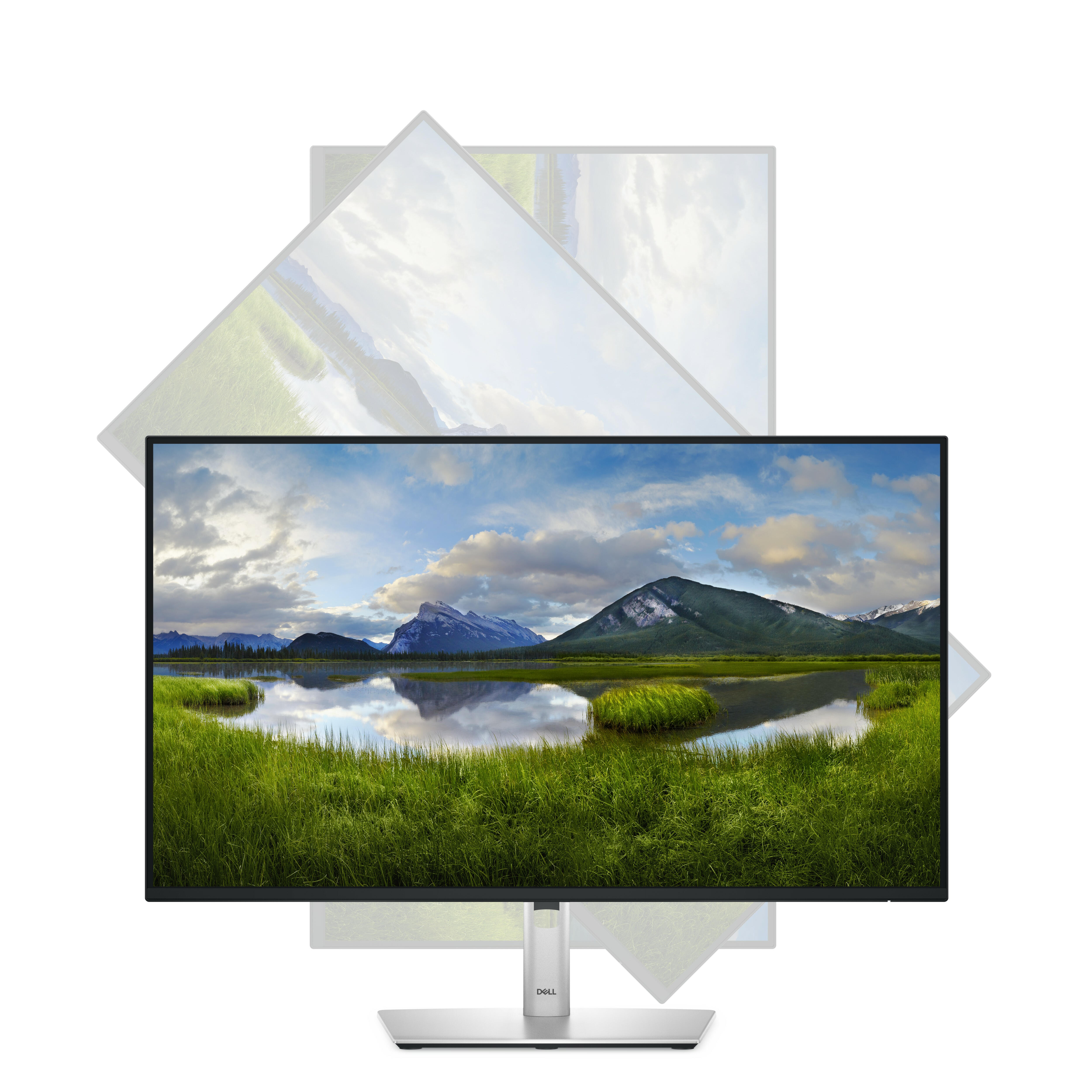 DELL Monitor P2725HHF / P2725HHF Negro Standard 68,6 cm (27")