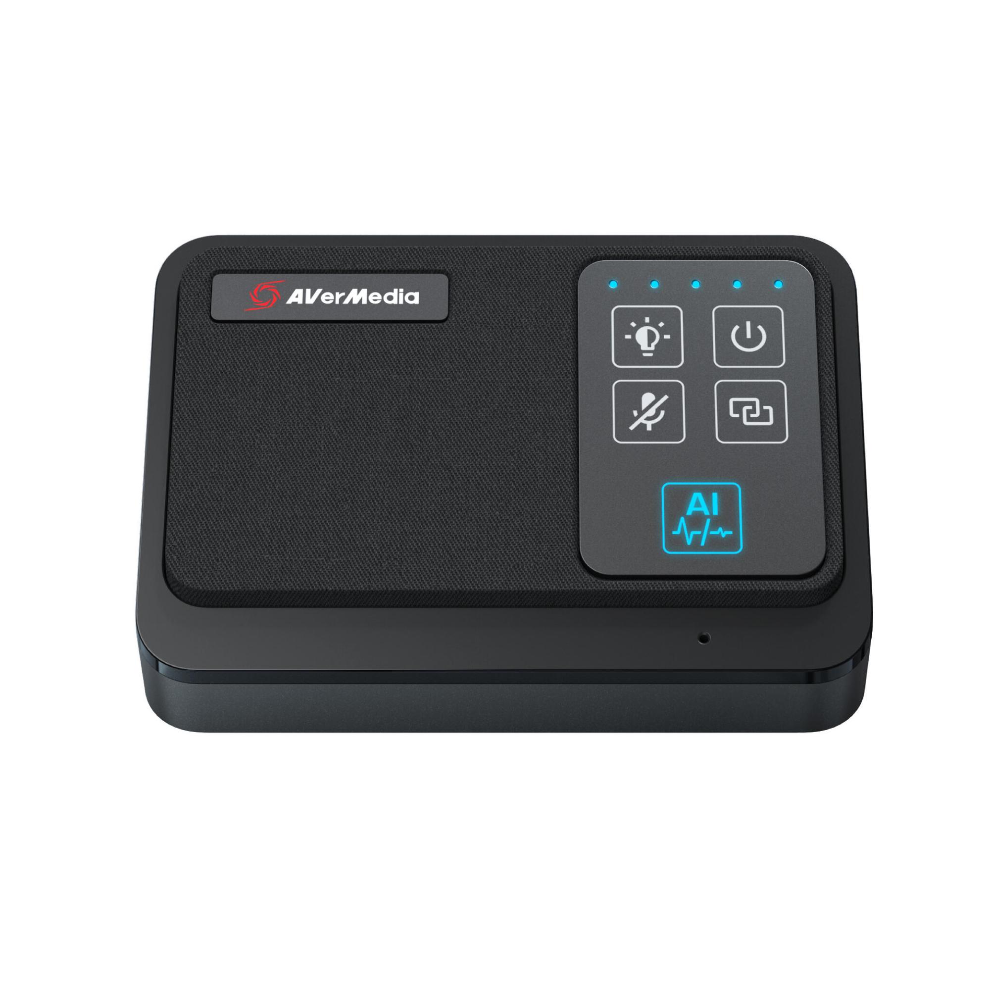 AVerMedia Microfono AW111 / 61AW111000AB Nero Doppelpack