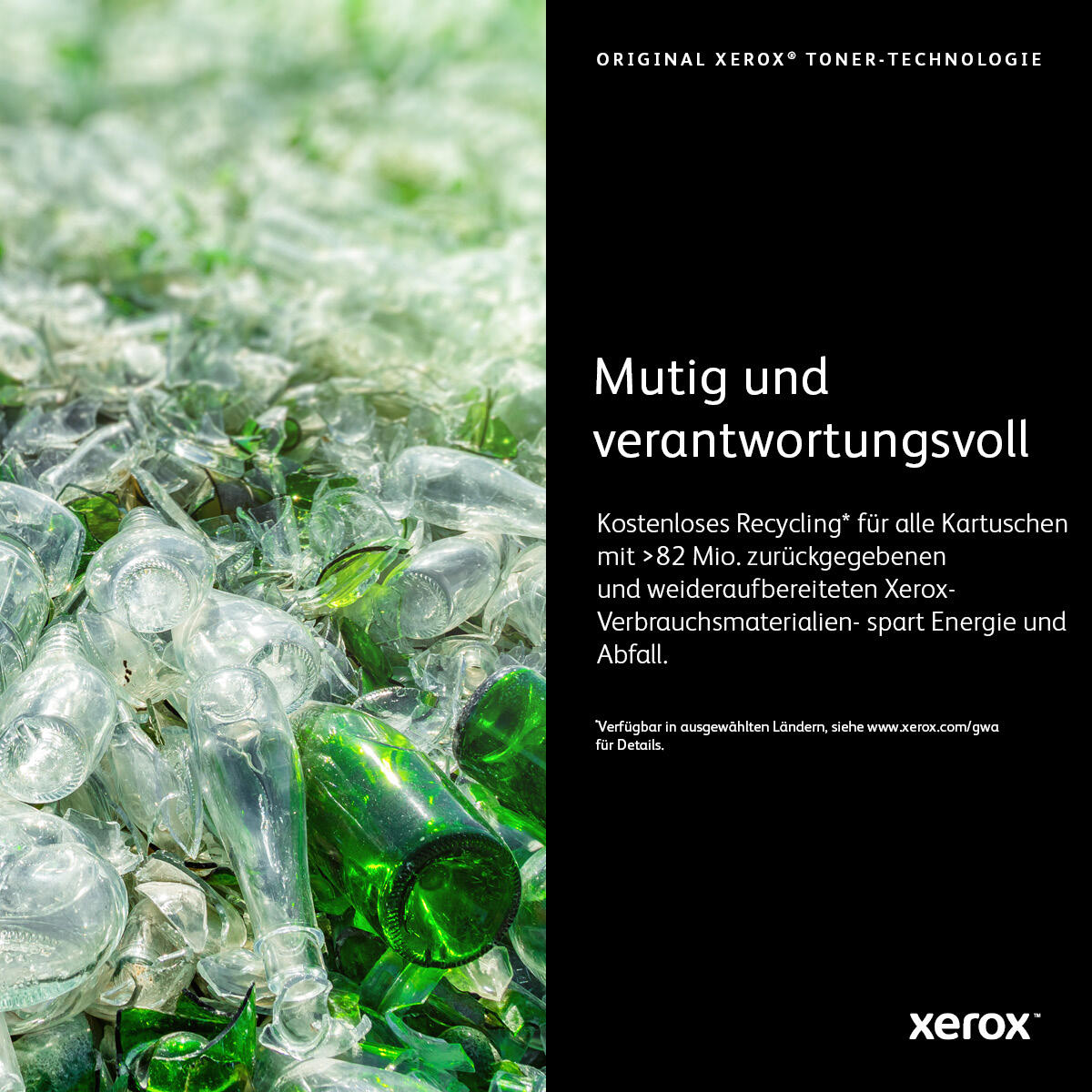 Xerox Tóner 106R02759 Negro Standard