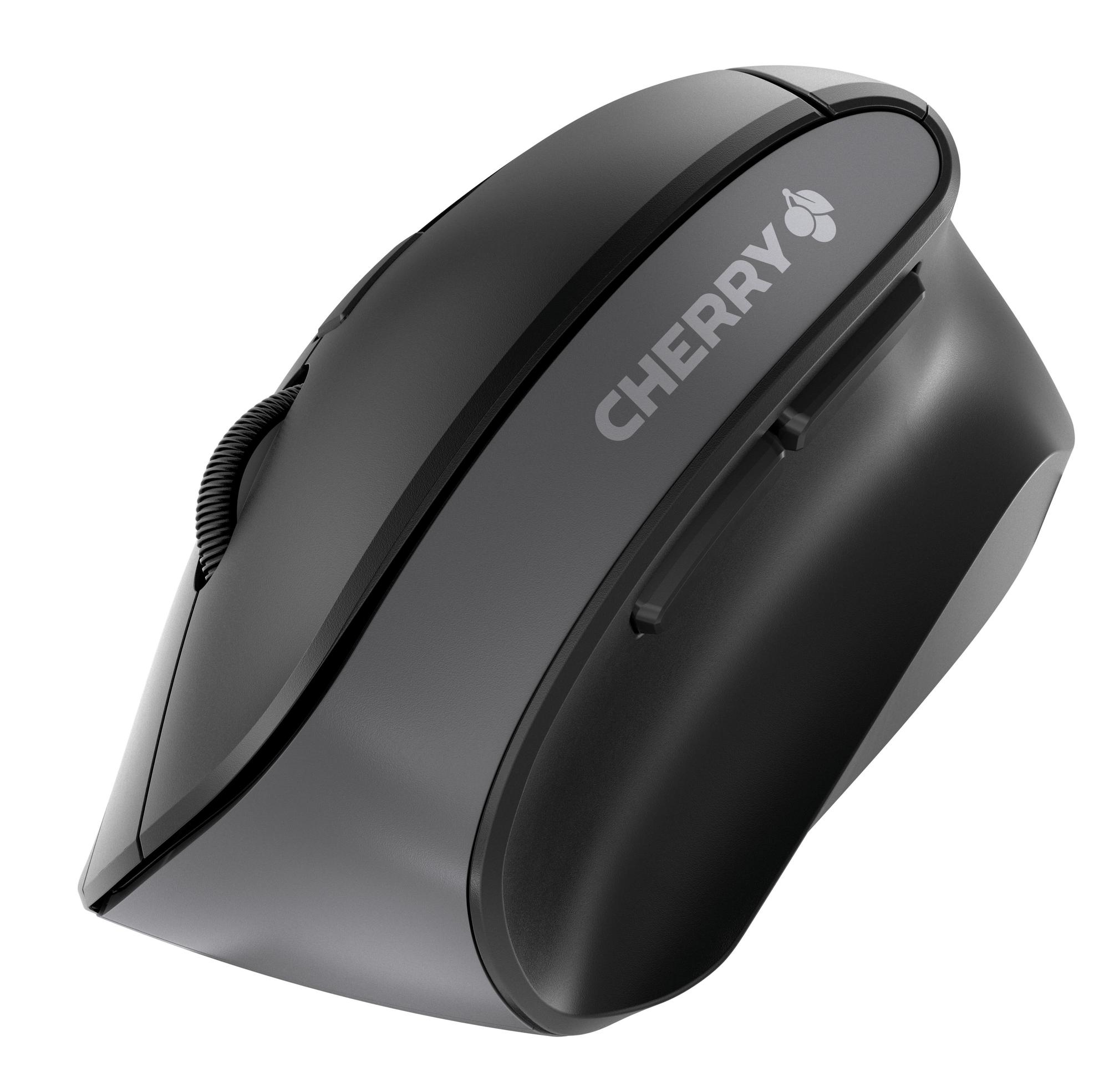 CHERRY Mouse MW4500B / JW-4500 Black