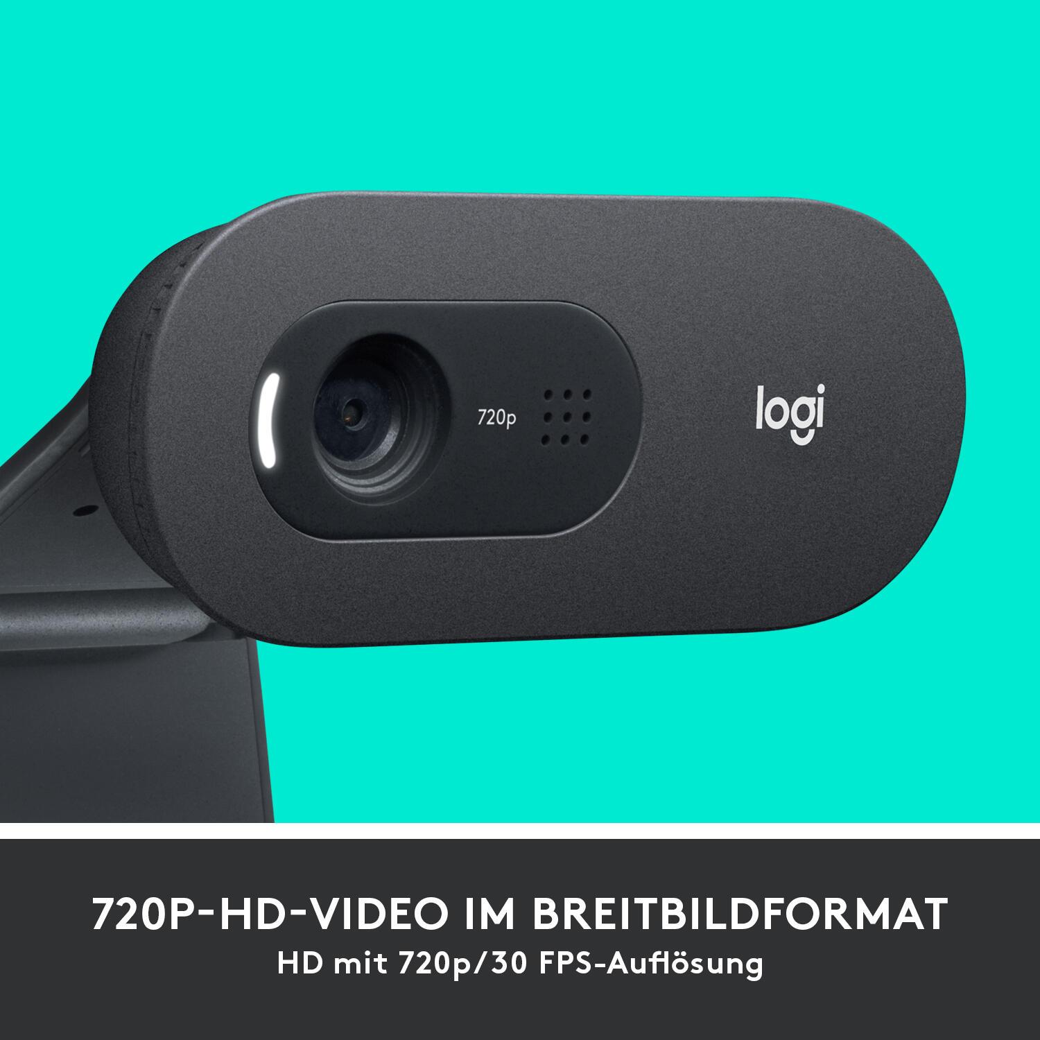 Logitech Cámara web C505 / 960-001364 Grafito