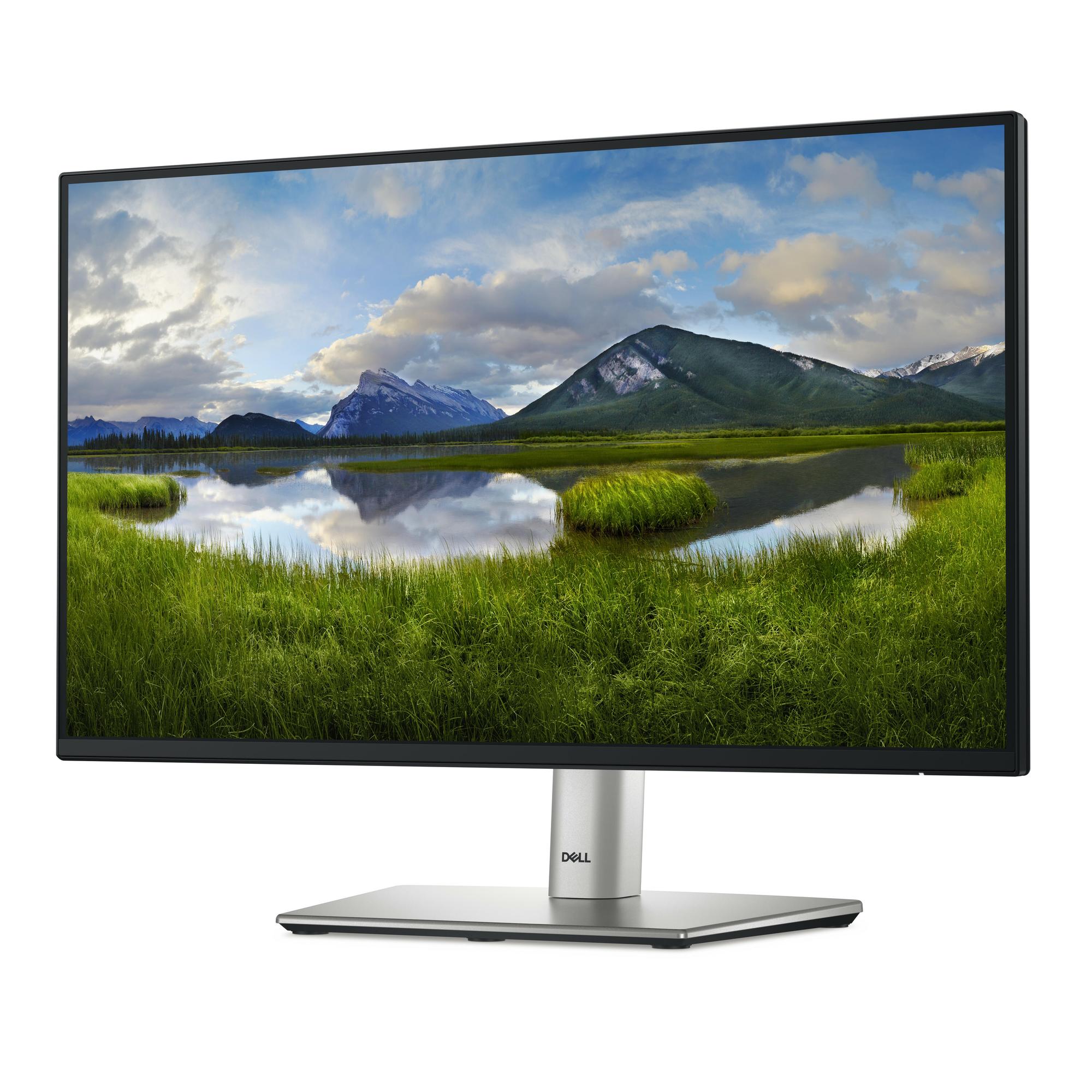 DELL Monitor P2225H / 210-BMHD Negro, plata 54,6 cm (21,5")