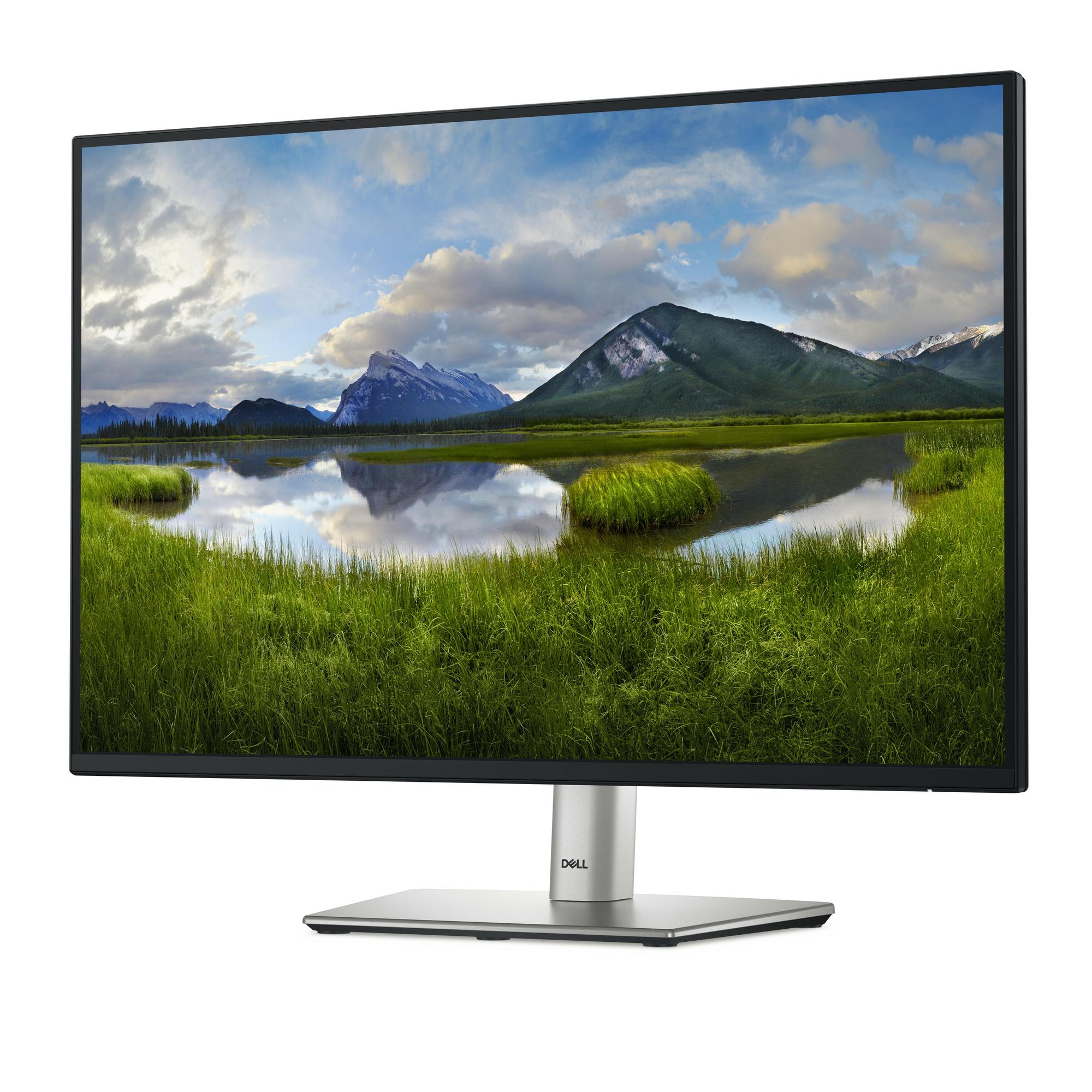 DELL Monitor P2425 / 210-BMJD Schwarz 61,1 cm (24.1")