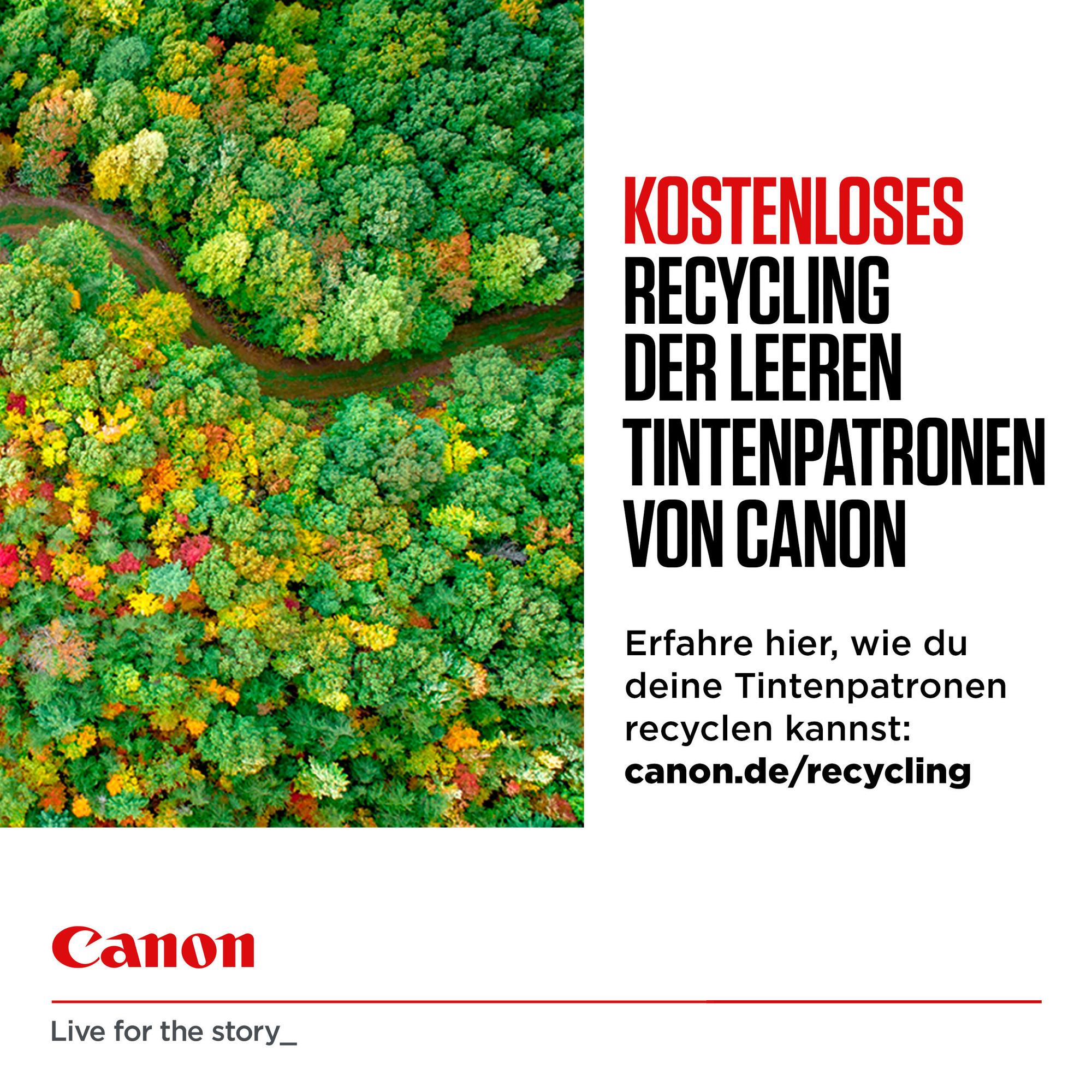 Canon Tinte PG-560/CL-561 / 3713C008 BK,C,M,Y