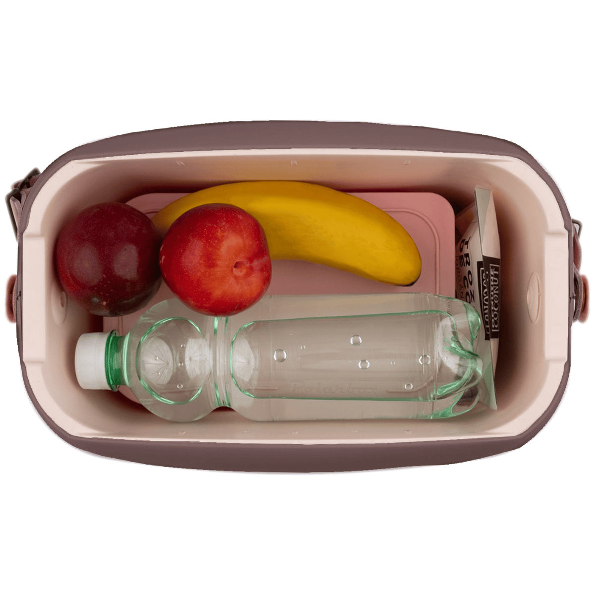 Polarbox Cooler box 01.06CB-FL - bei AXRO.com