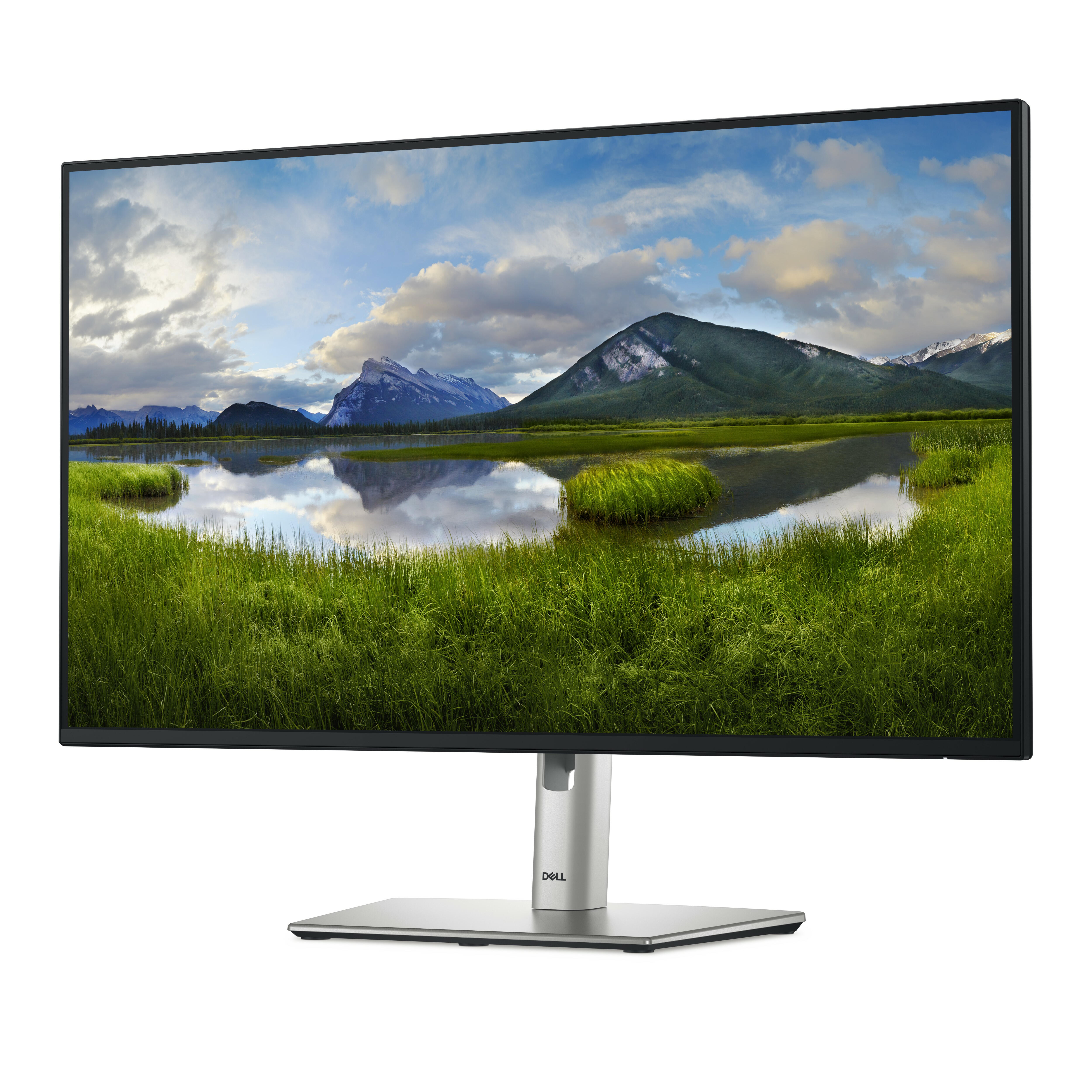 DELL Monitor P2725HHF / P2725HHF Negro Standard 68,6 cm (27")