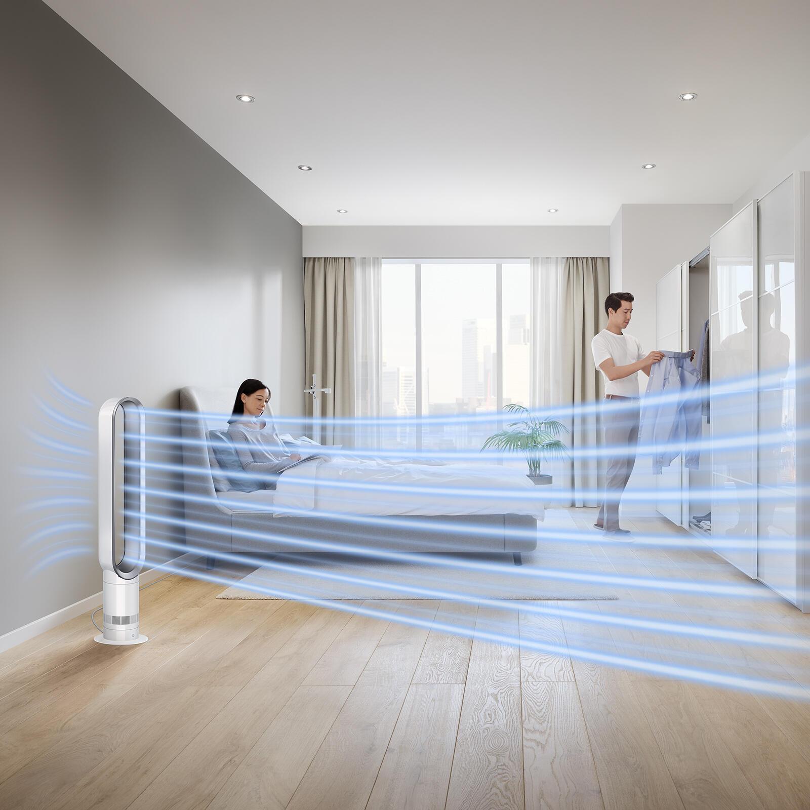 Dyson Purificateur d'air Cool AM07 / 300912-01 Argent, blanc