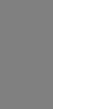 Gray/White