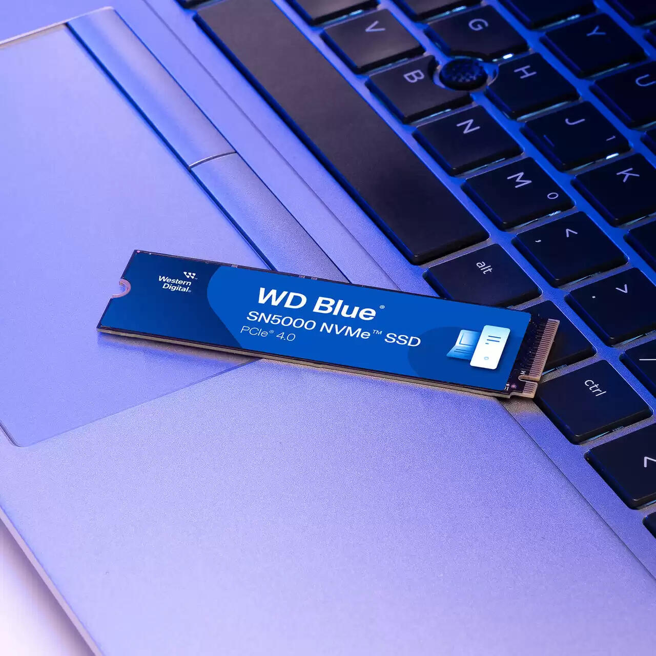 Western Digital Blue SN5000 500GB / WDS500G4B0E-00CNZ0 Blue