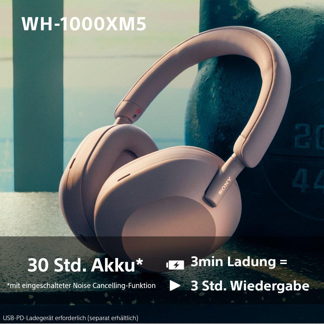 Sony Auriculares WH-1000XM5 / WH1000XM5P.CE7 Rosa