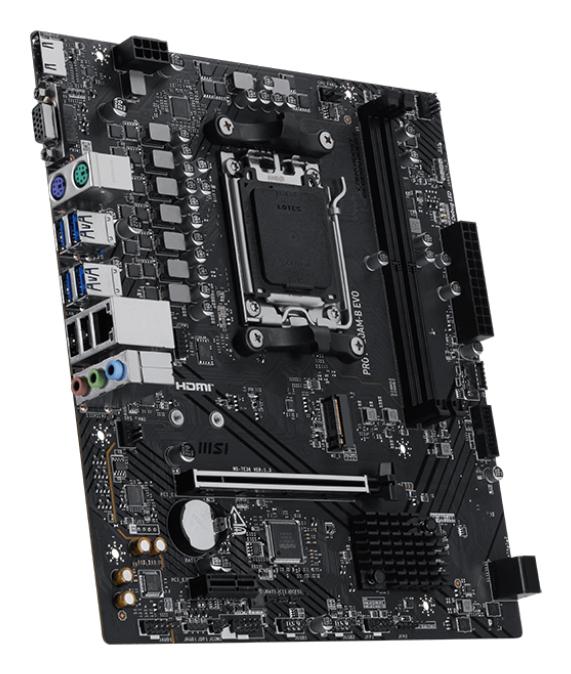 MSI Mainboard PRO A620AM-B EVO / 7E36-001R Black