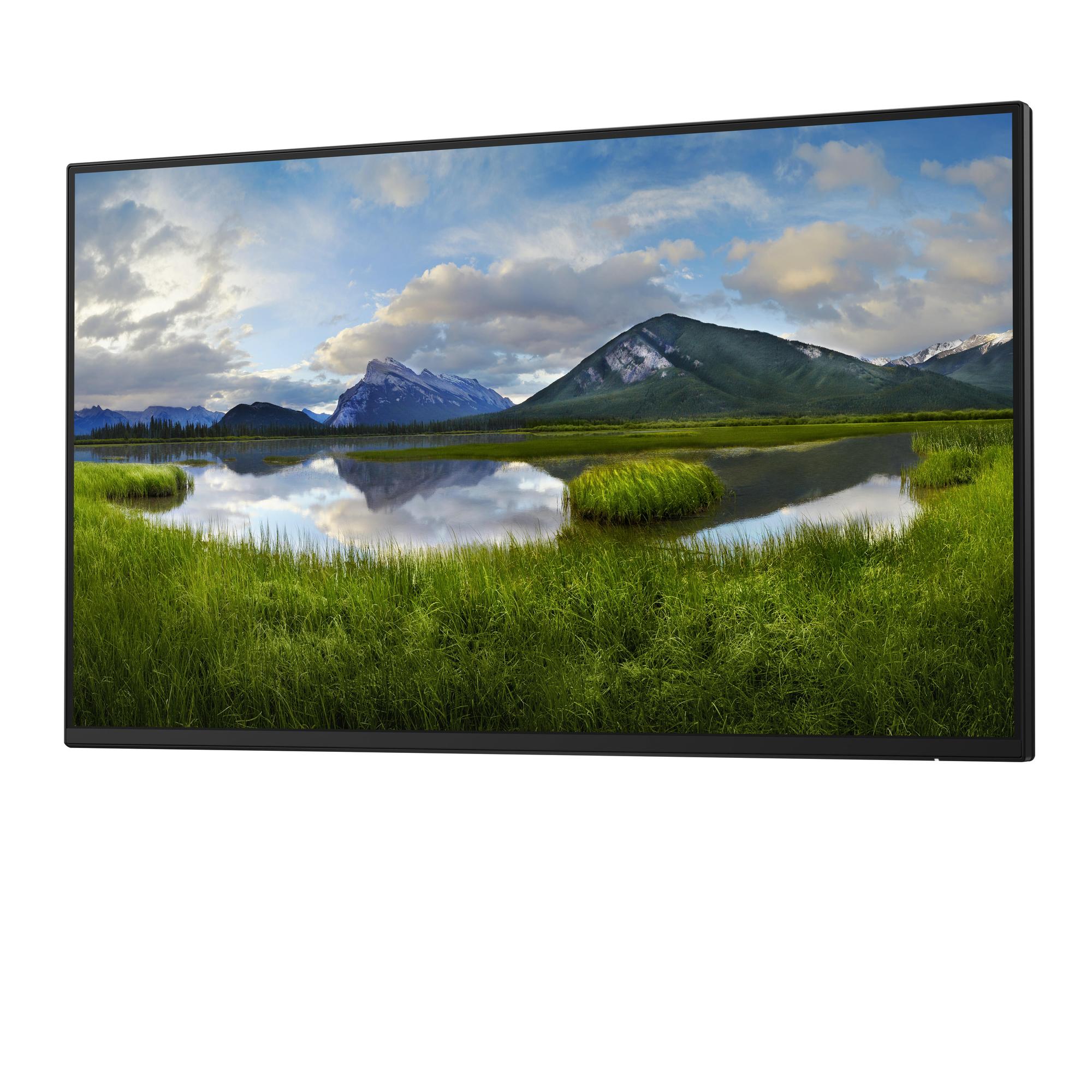 DELL Monitor P2425HWO / 210-BMTB Negro 61 cm (24")