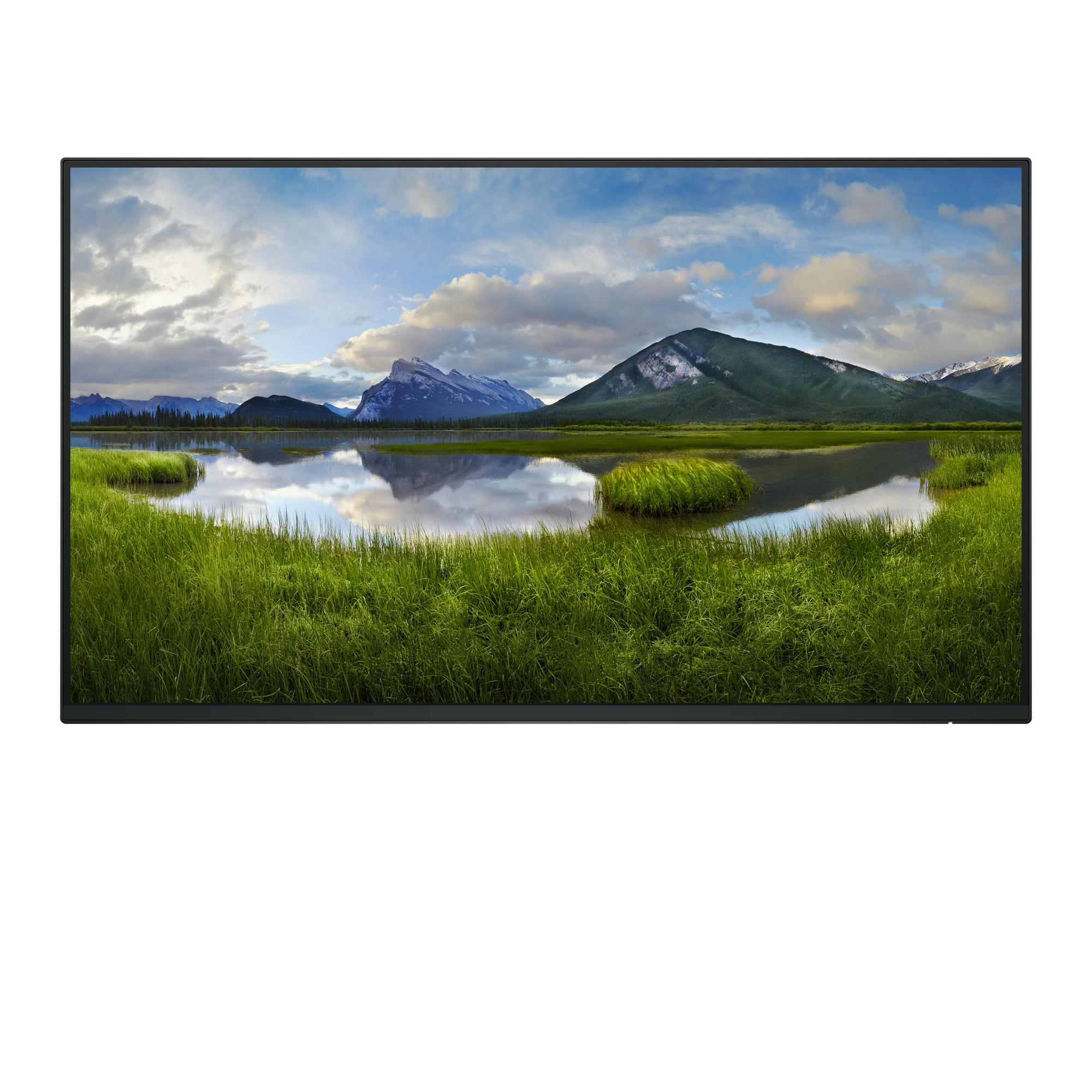 DELL Monitor P2425HWO / 210-BMTB Negro 61 cm (24")