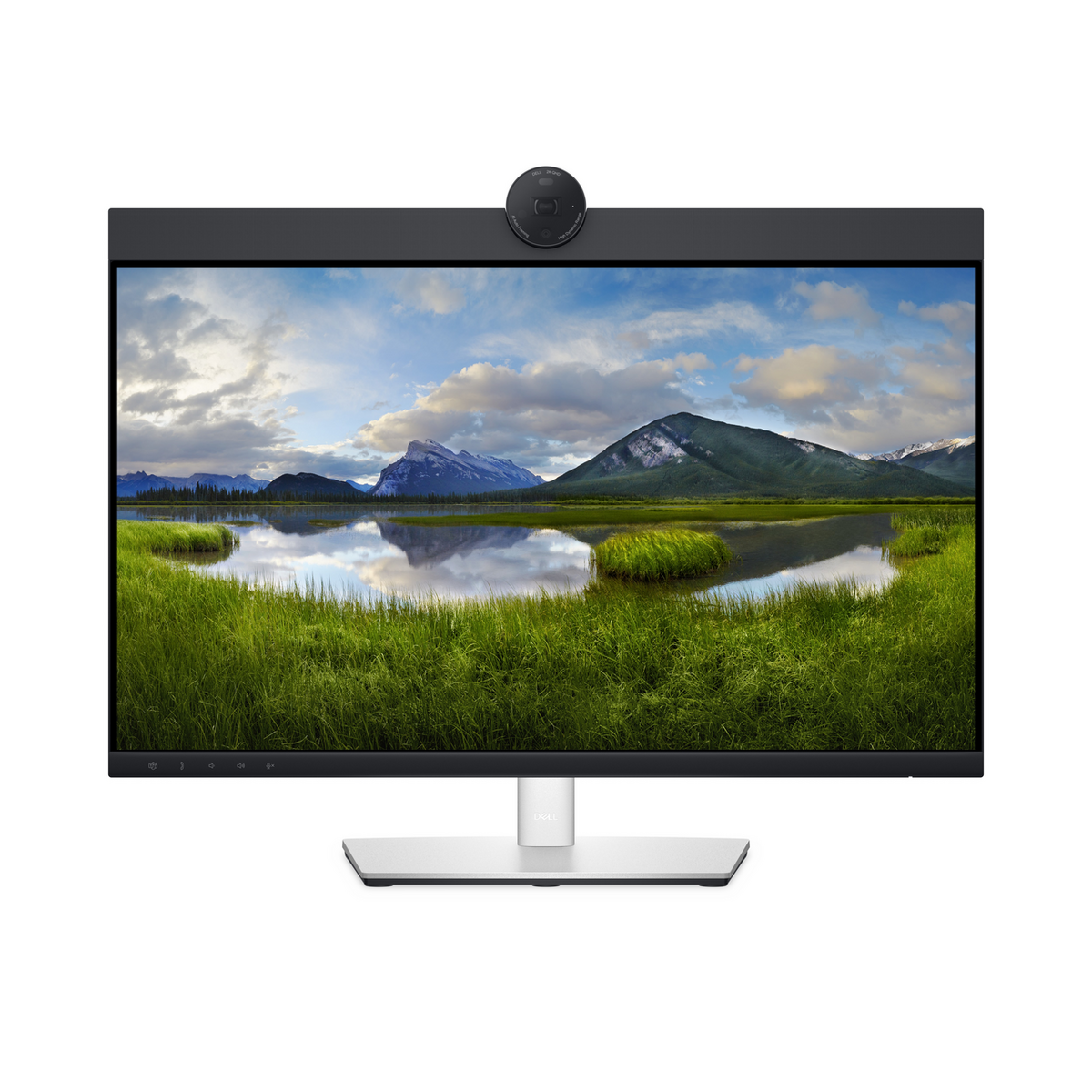 Dell Monitor P2424HEB / 210-BKVC Black
