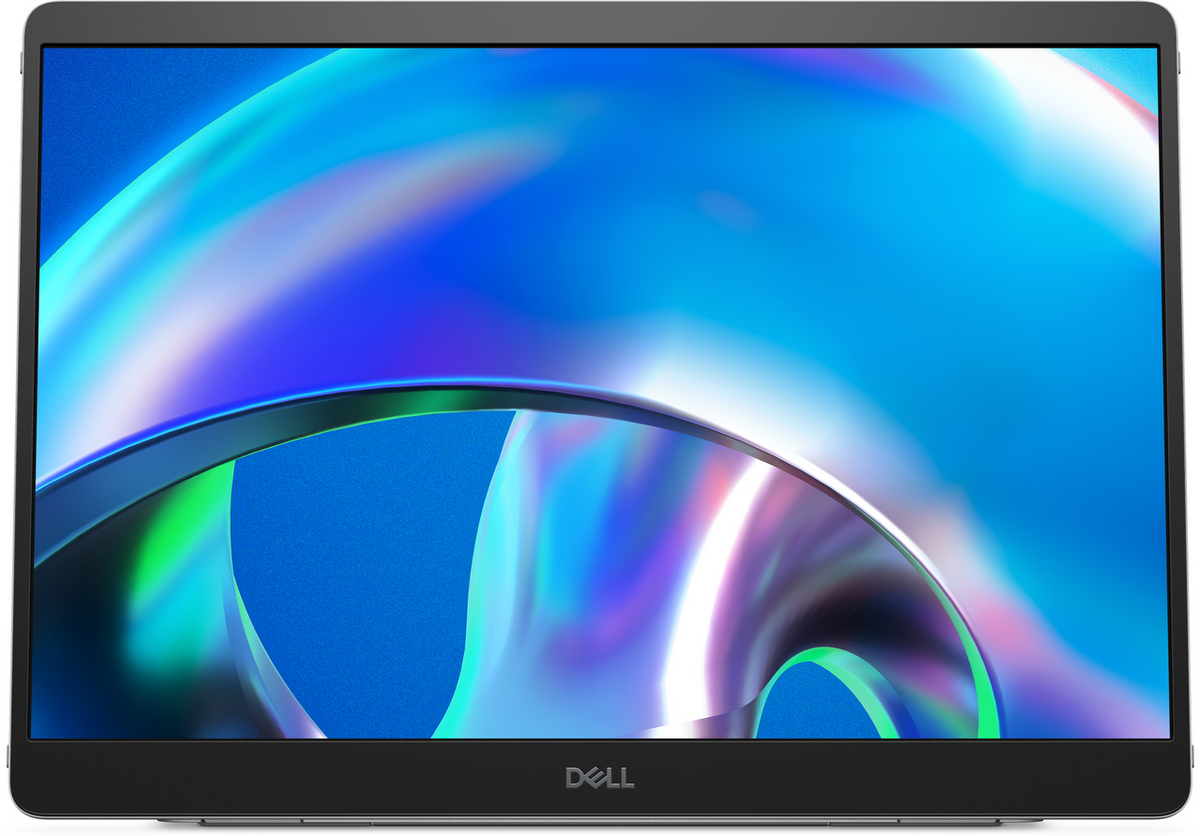 Dell Monitor Pro Plus P1425 / 210-BQTB Silver/Black (14 ")