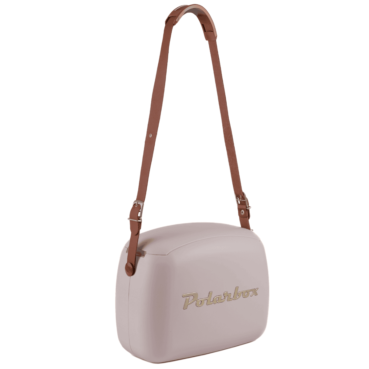 Polarbox Glacière Pearl-Gold 6L / AXROACTION3 Beige Polarbox Glacière Pearl-Gold 6L / AXROACTION3 Beige